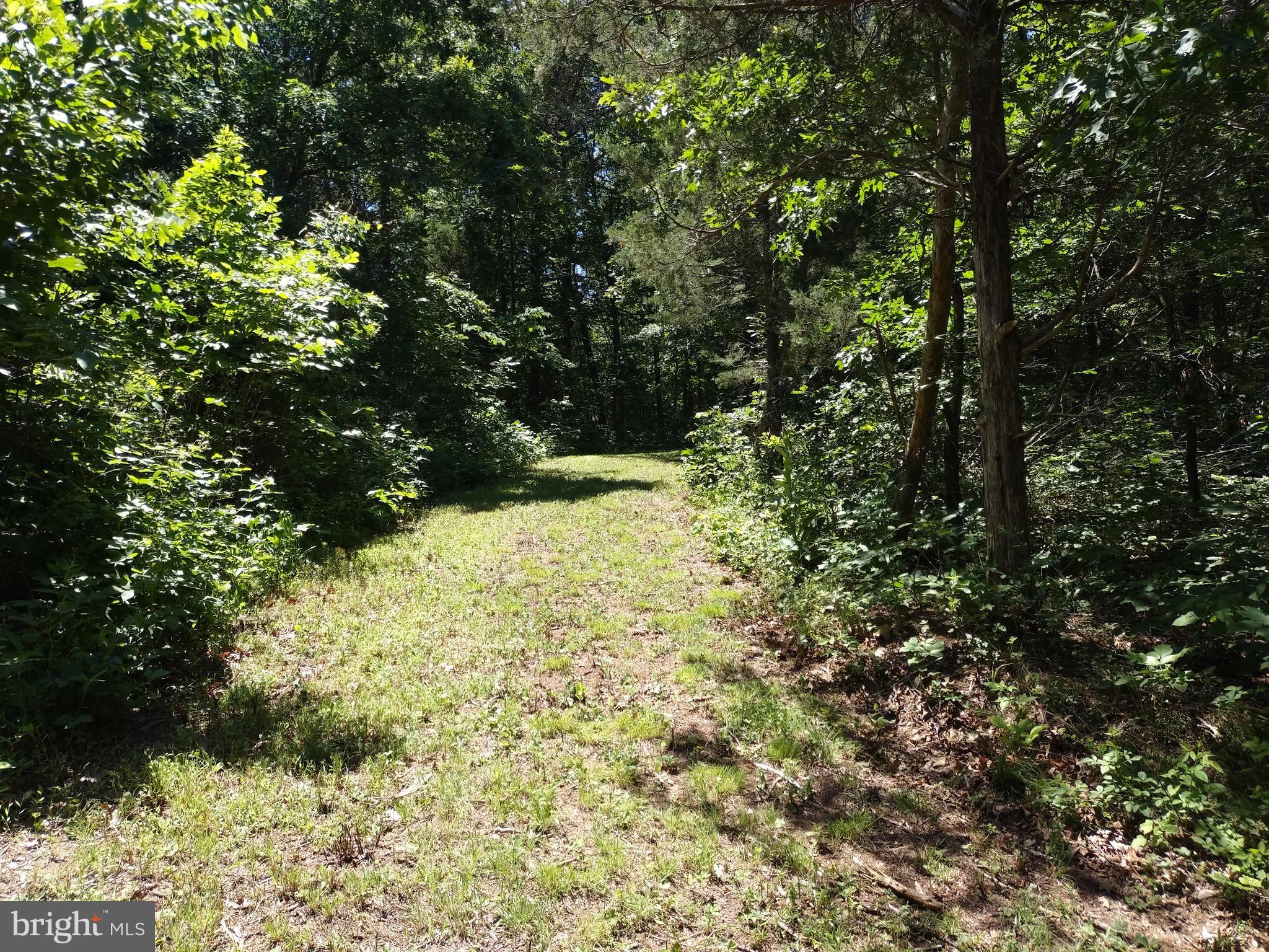 415 Dusty Ln