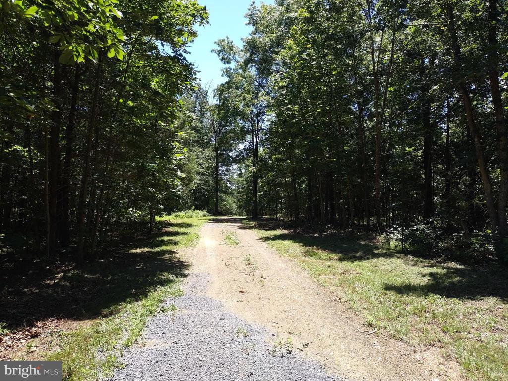 415 Dusty Ln