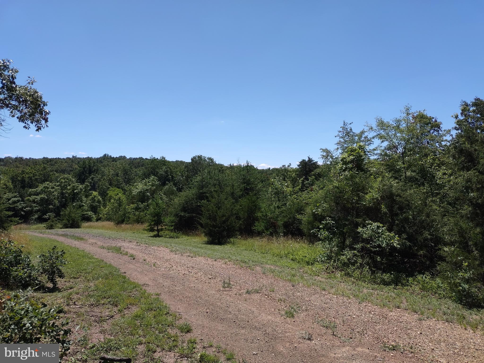 415 Dusty Ln