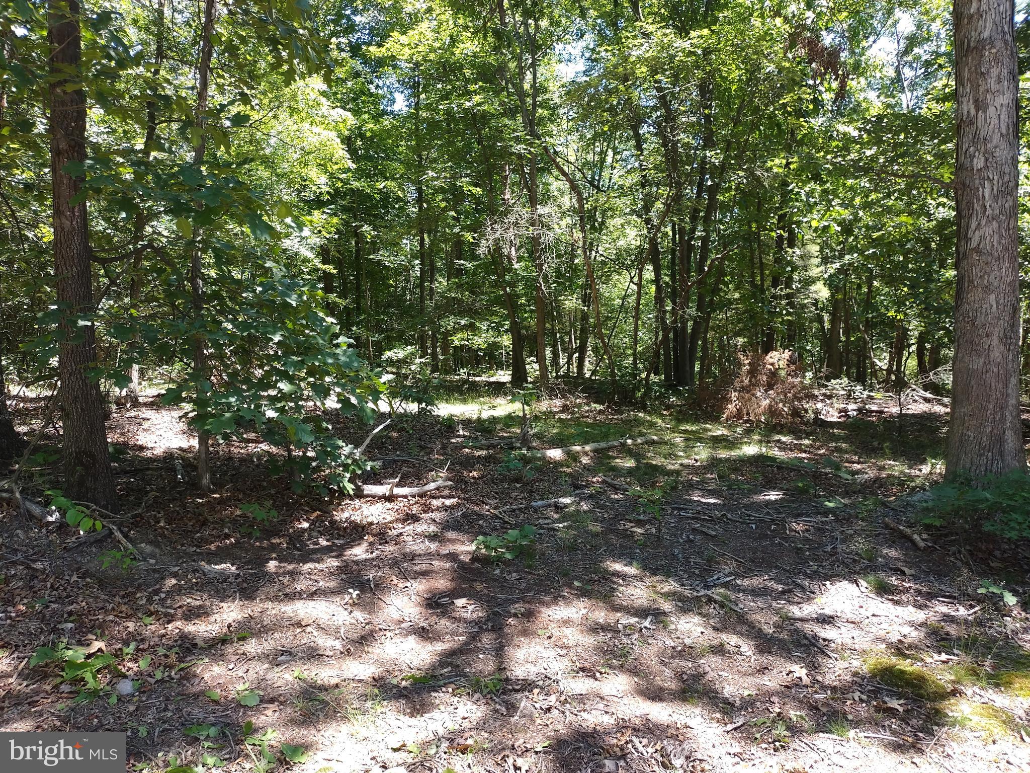 415 Dusty Ln