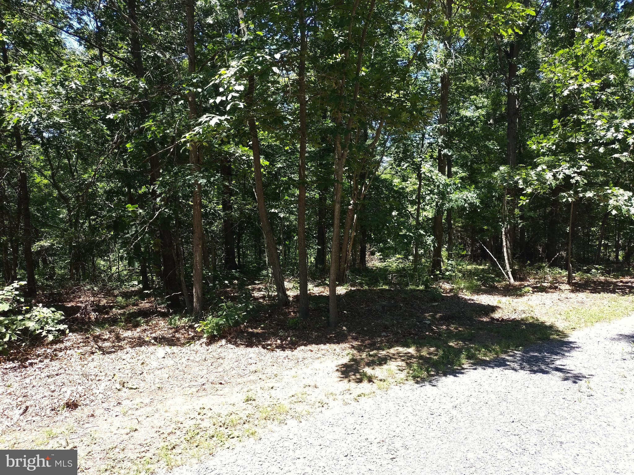 415 Dusty Ln