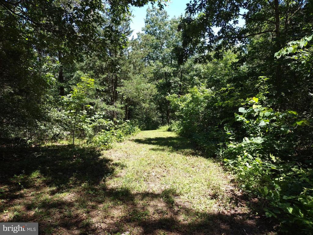 415 Dusty Ln