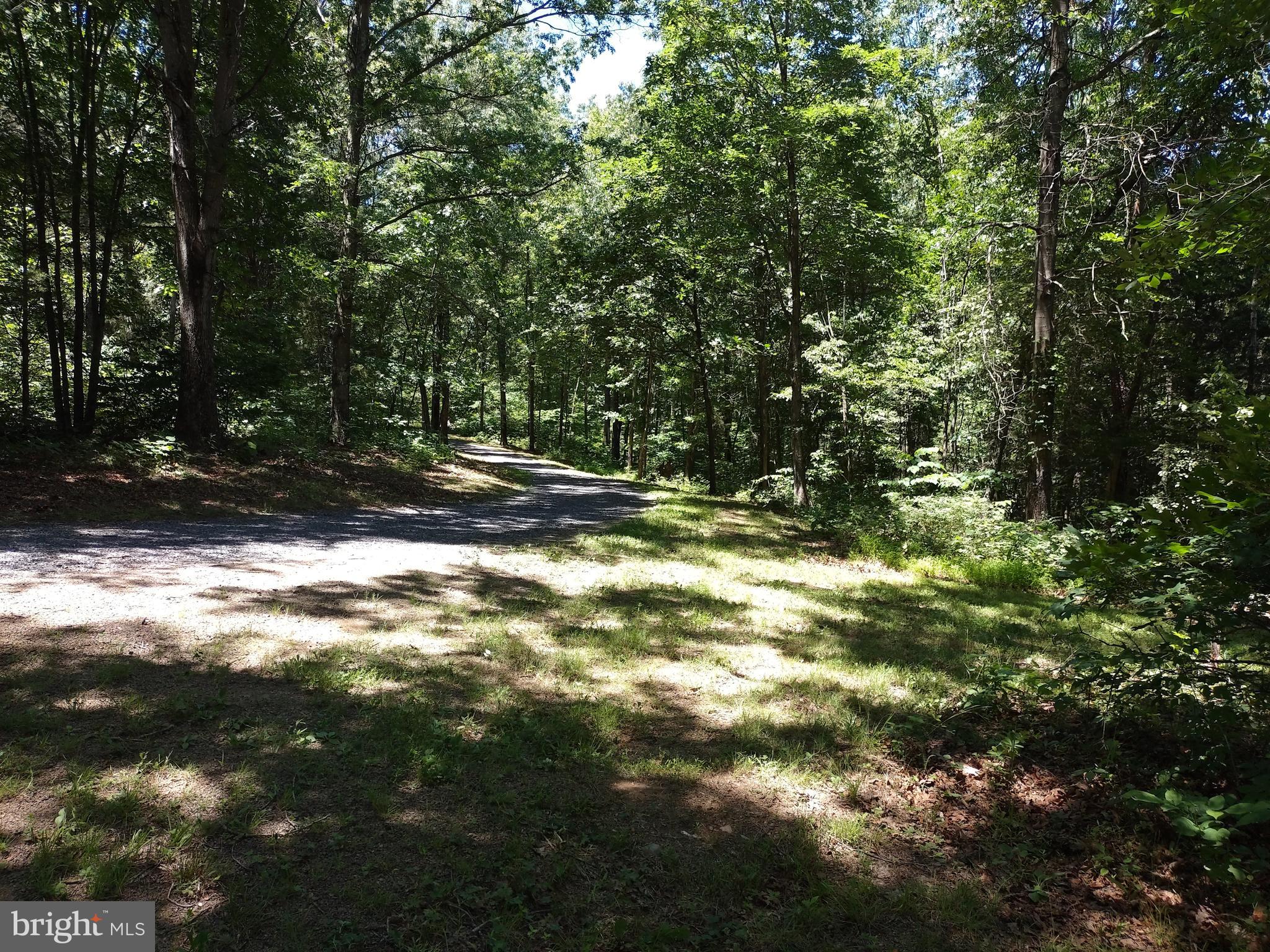 415 Dusty Ln