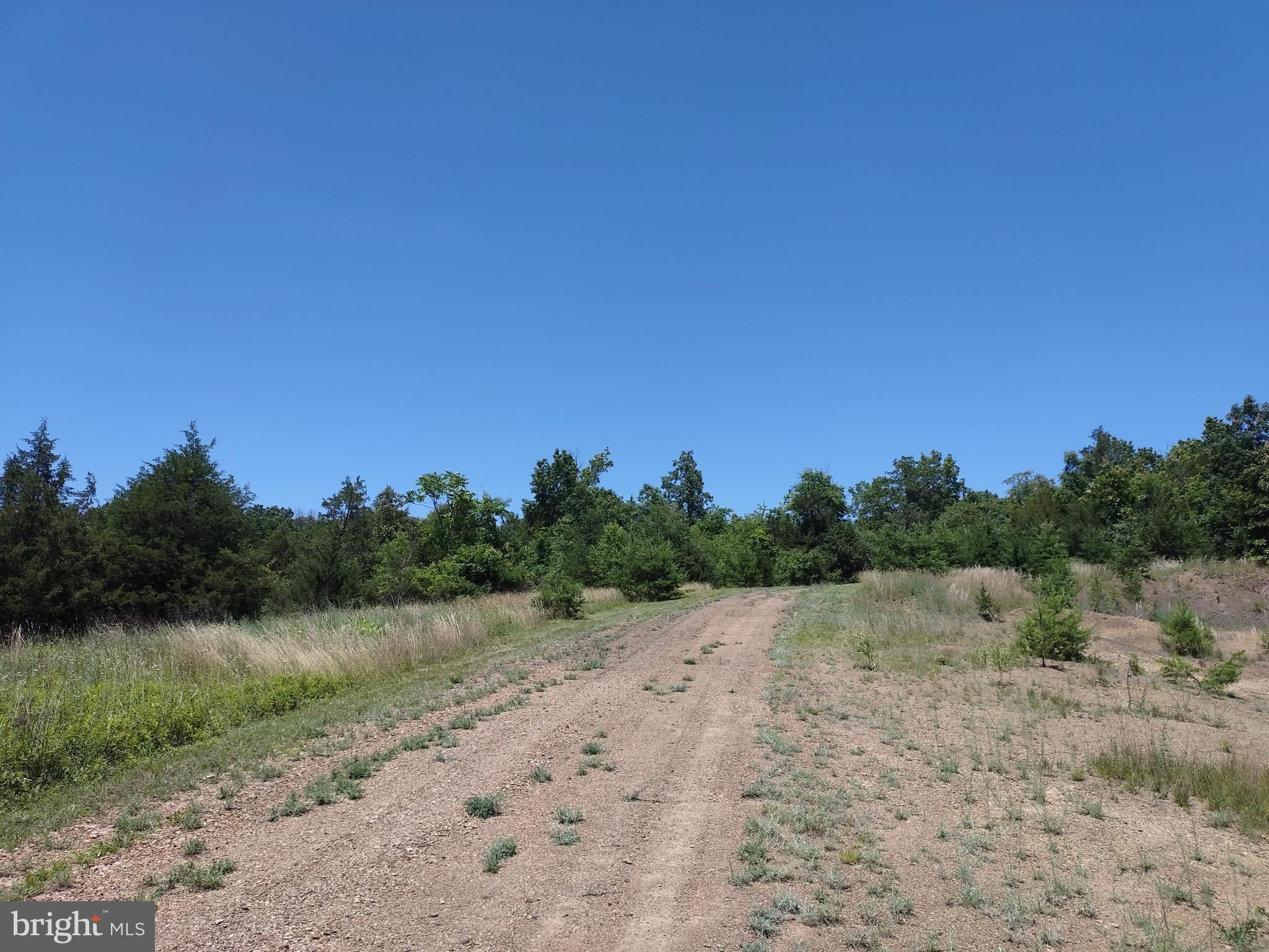 415 Dusty Ln