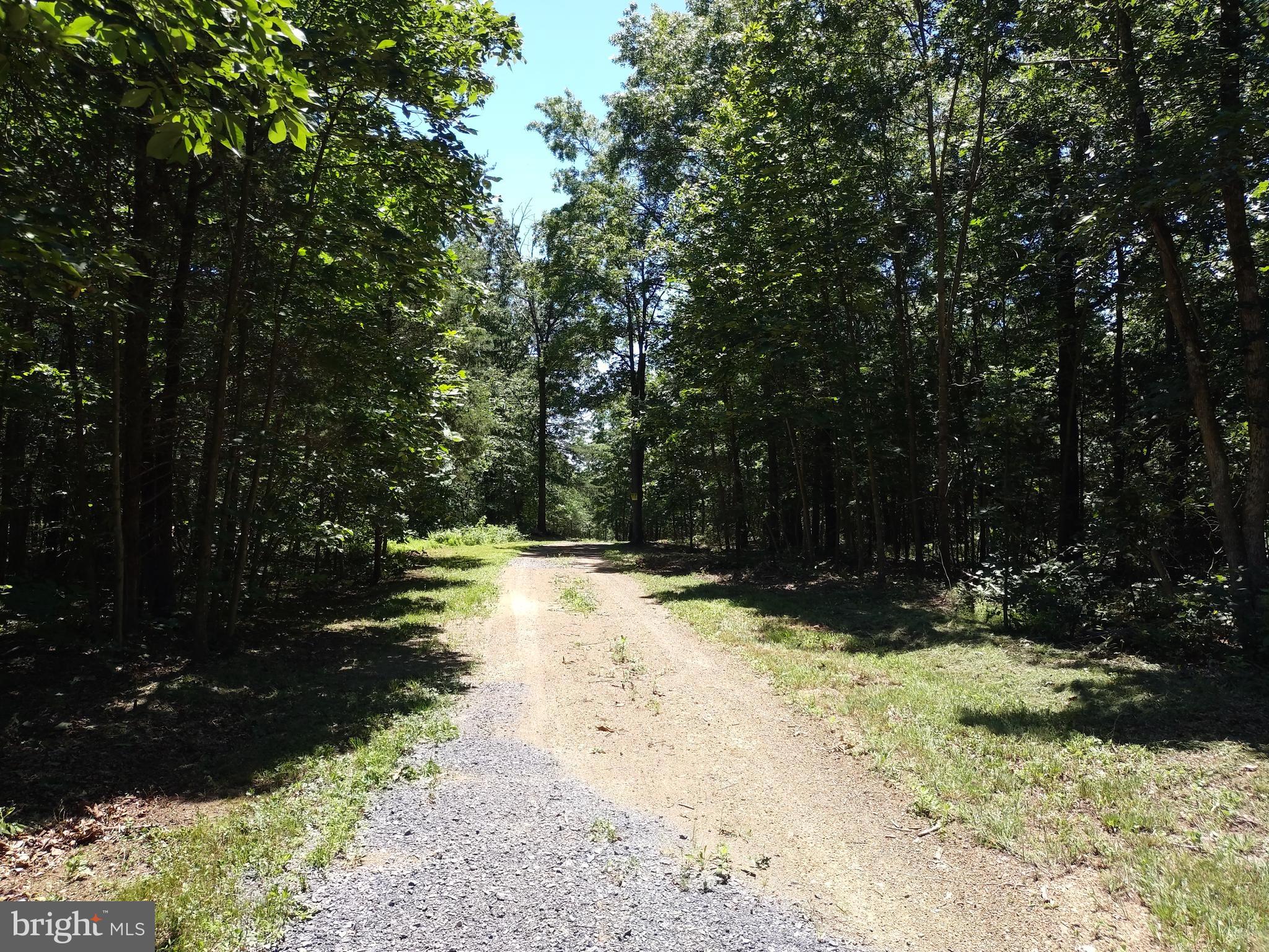 415 Dusty Ln
