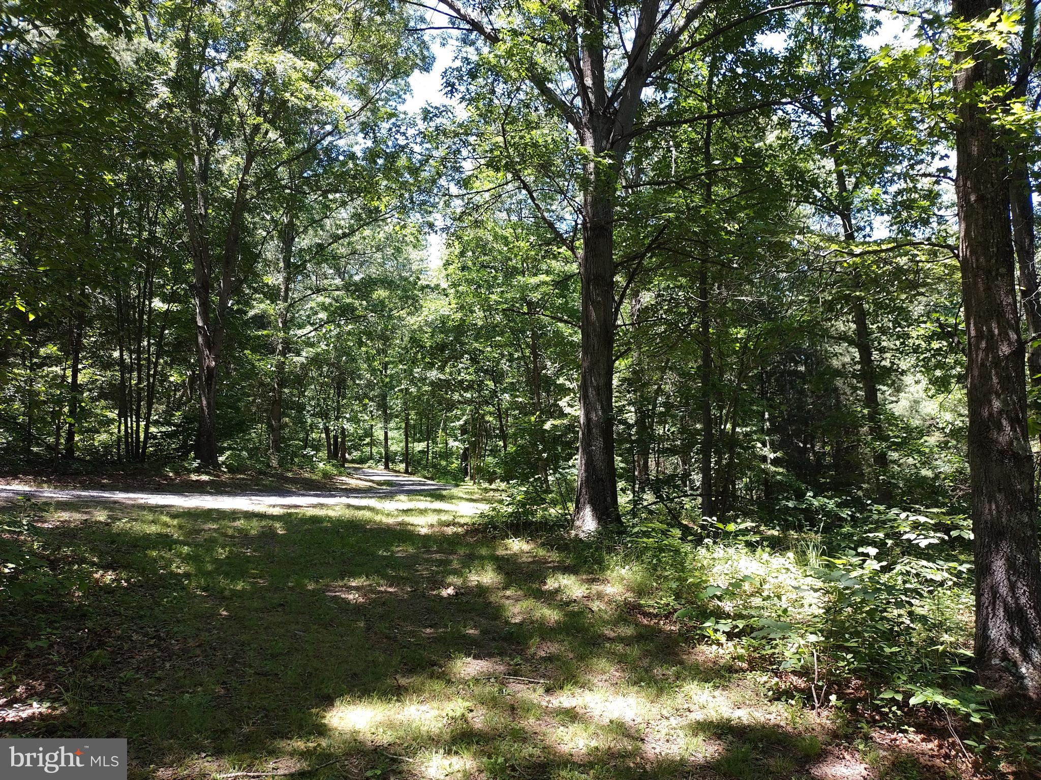 415 Dusty Ln