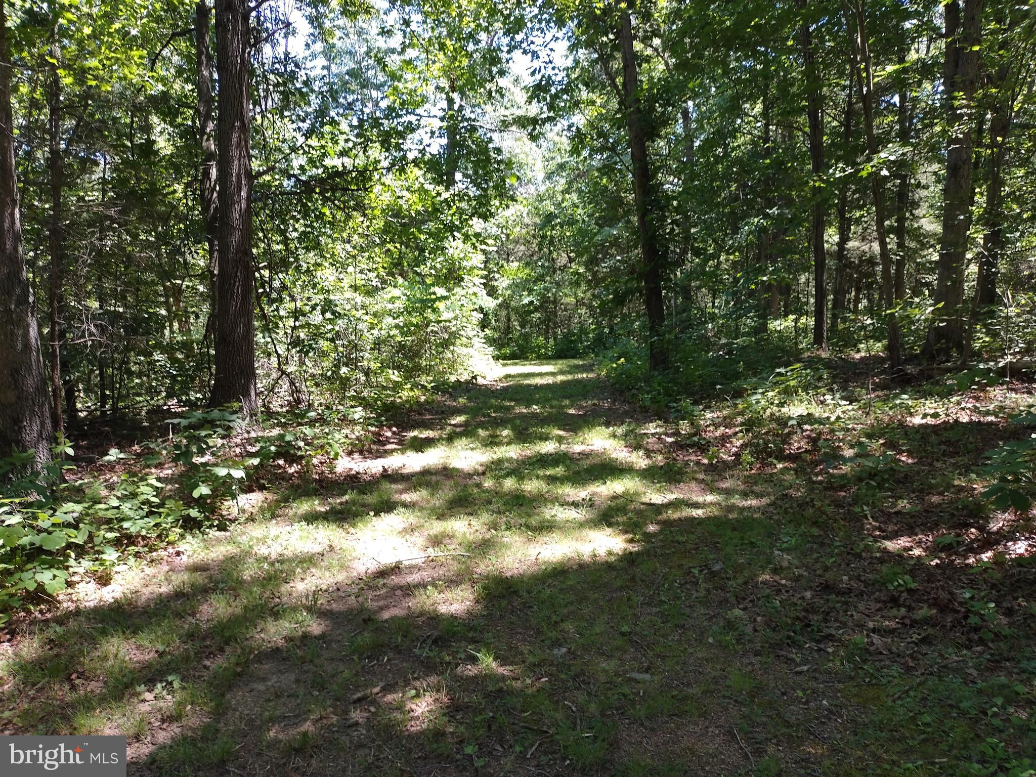 415 Dusty Ln