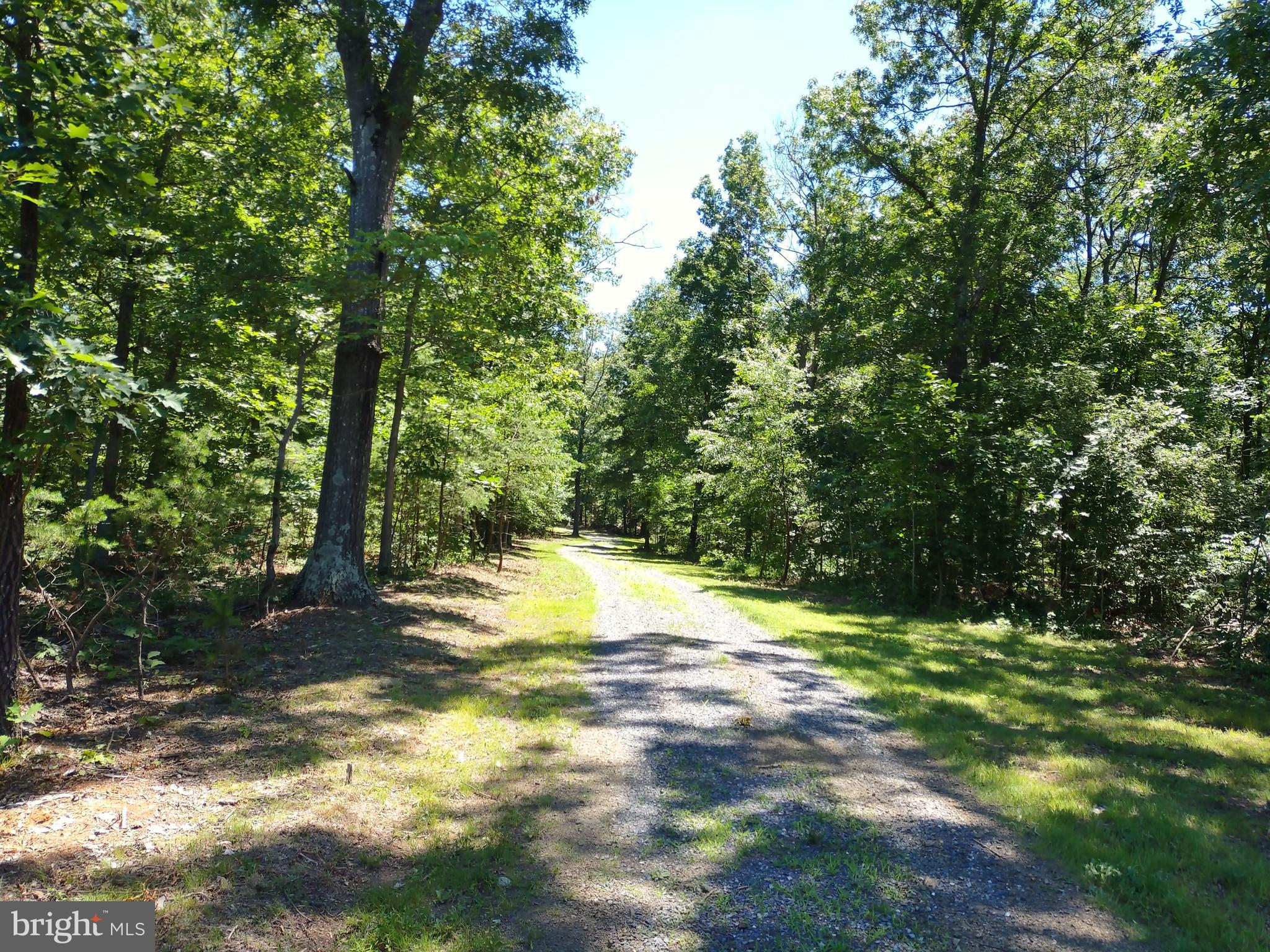 415 Dusty Ln