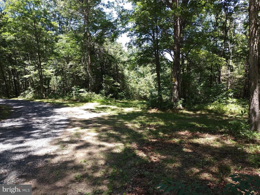 415 Dusty Ln