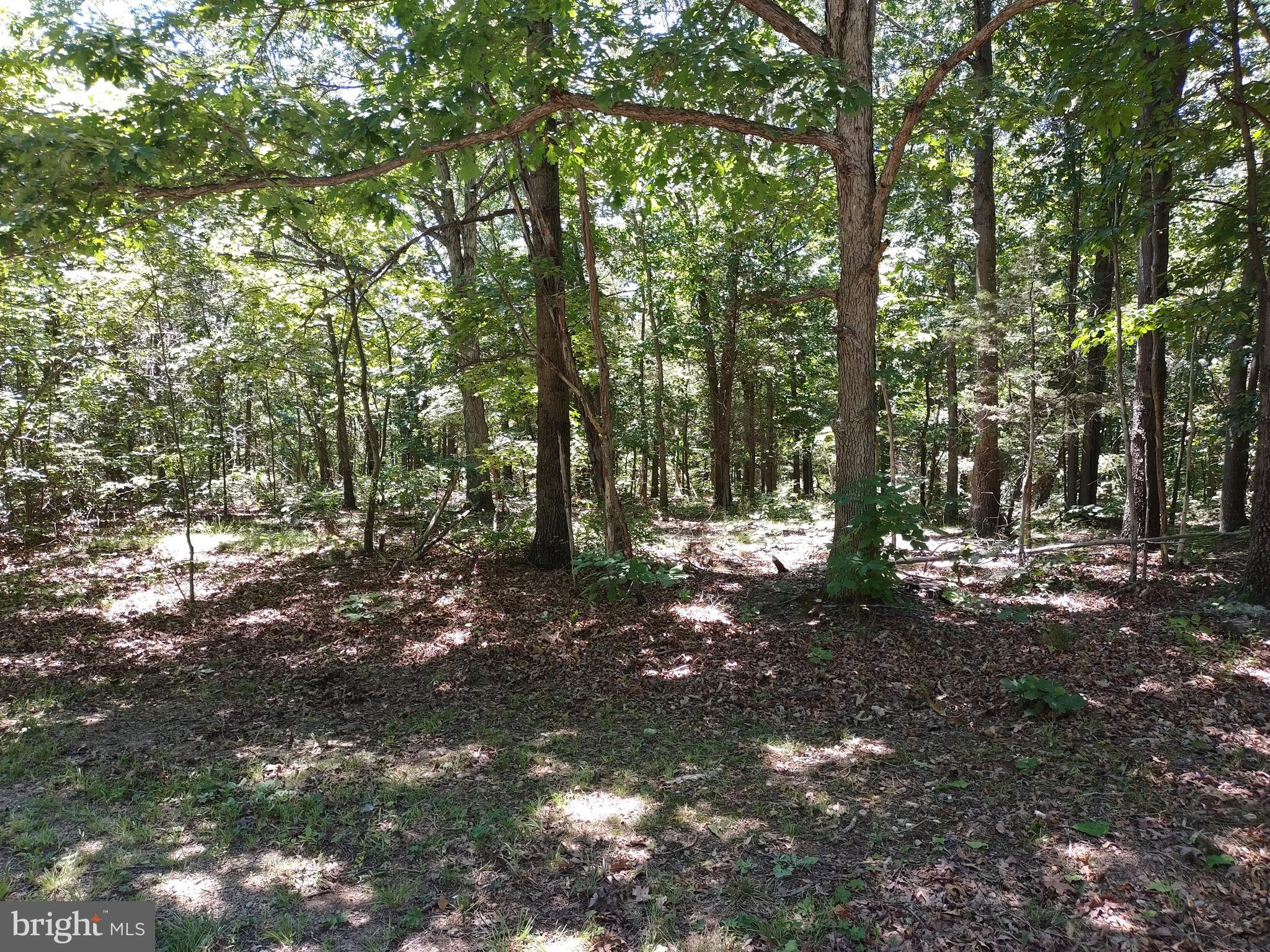 415 Dusty Ln