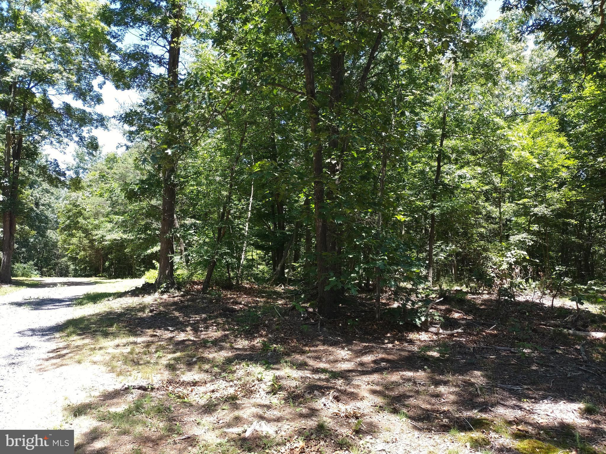415 Dusty Ln