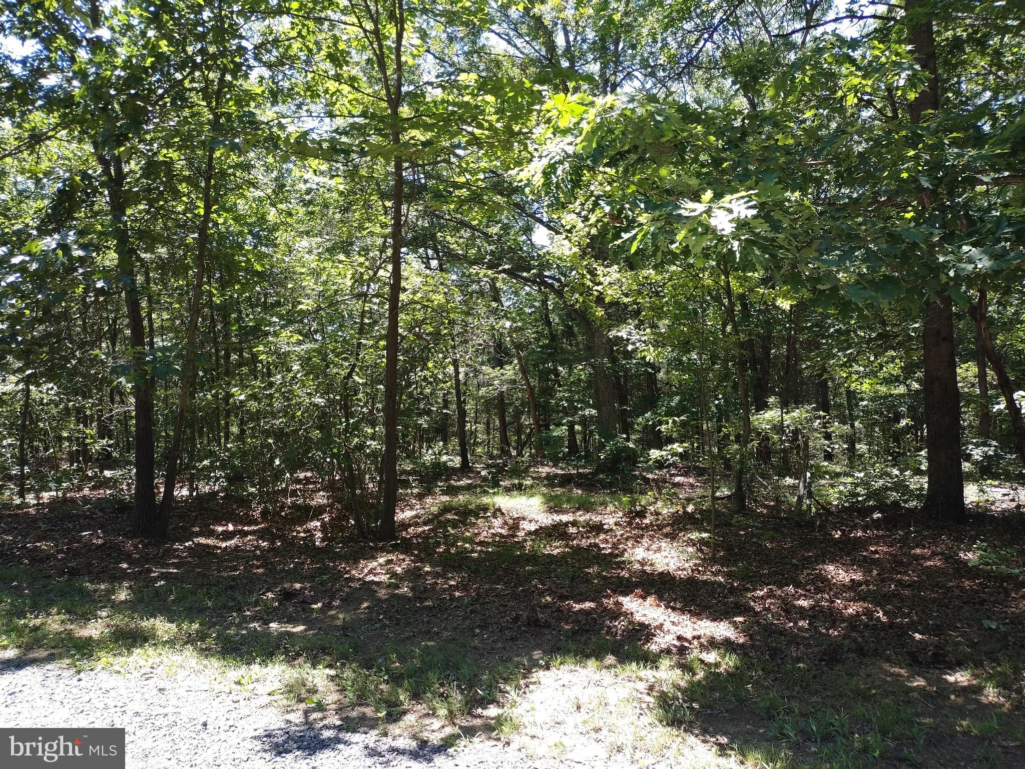 415 Dusty Ln