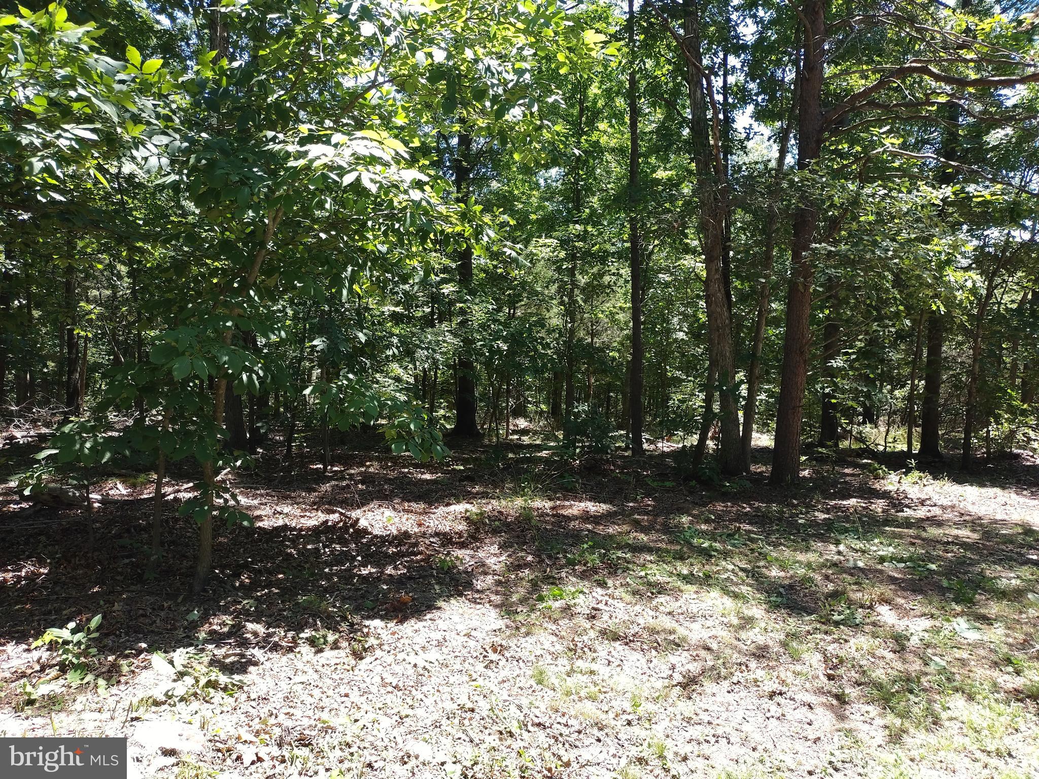 415 Dusty Ln