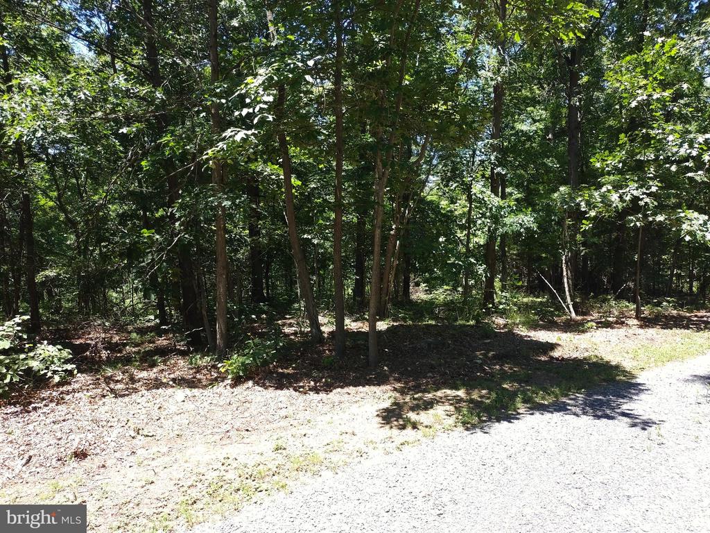 415 Dusty Ln
