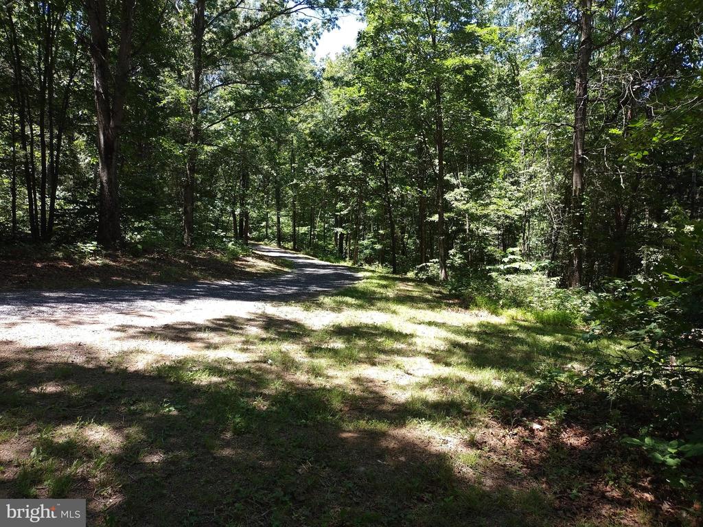 415 Dusty Ln