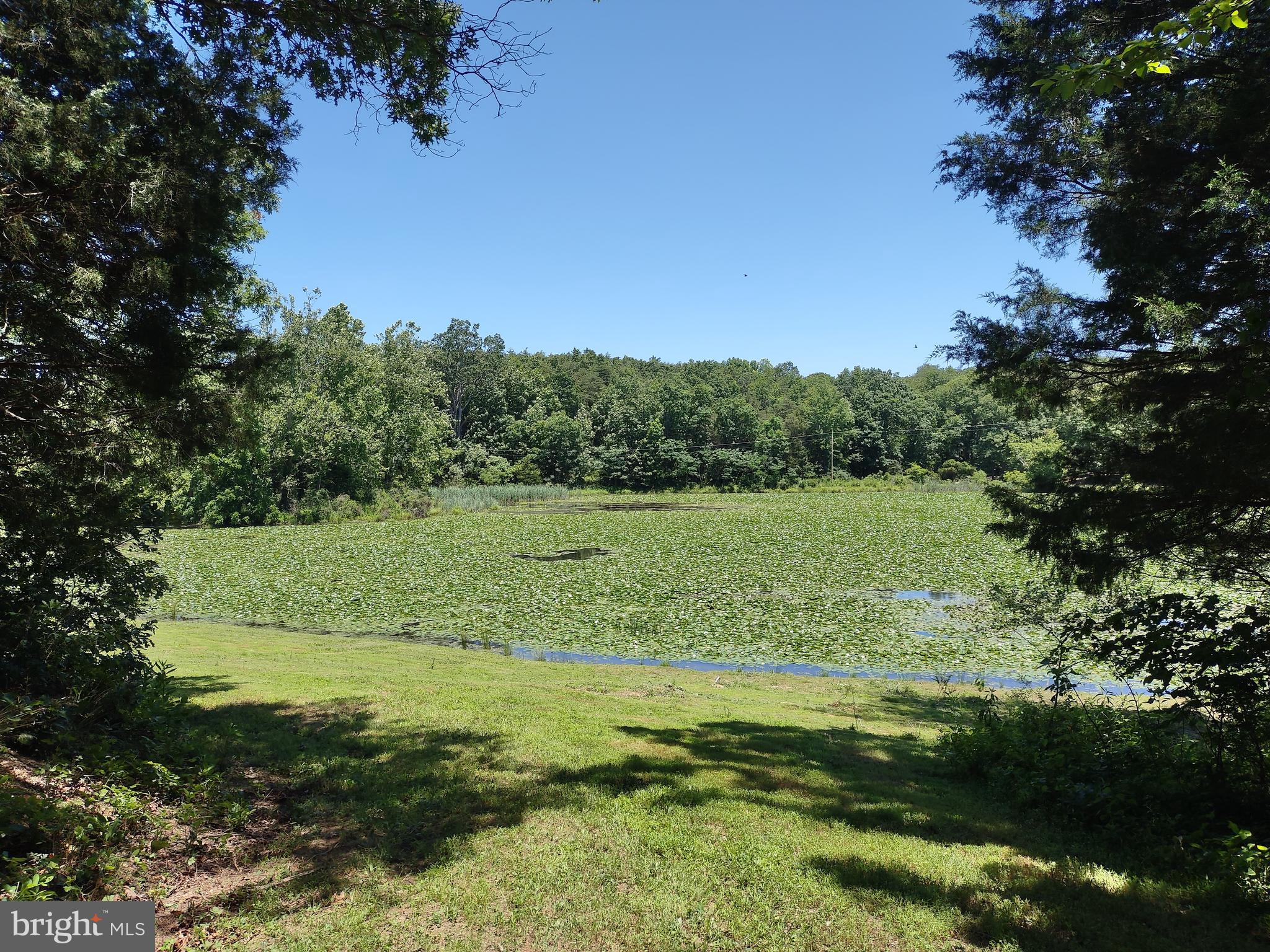 415 Dusty Ln