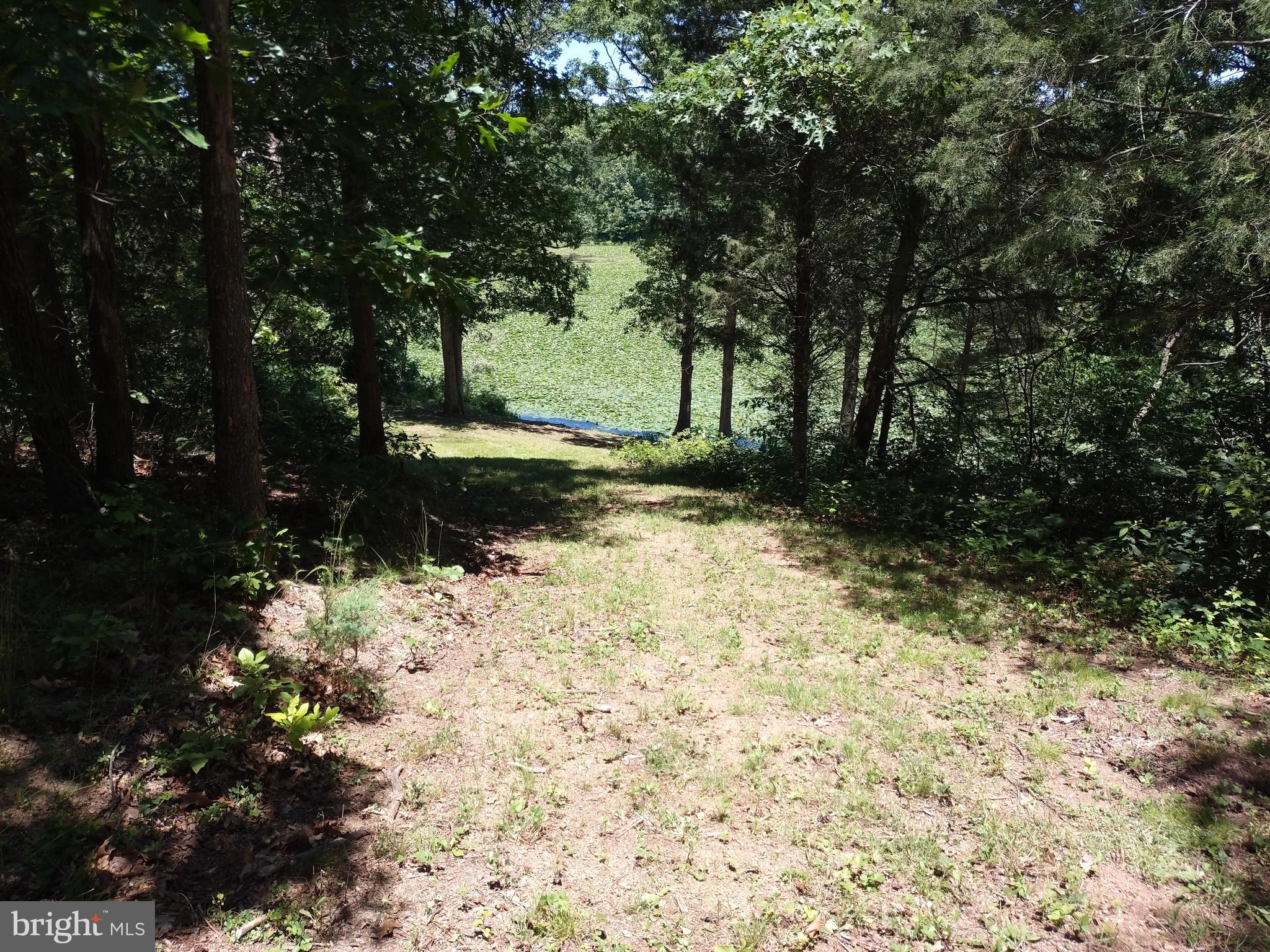 415 Dusty Ln