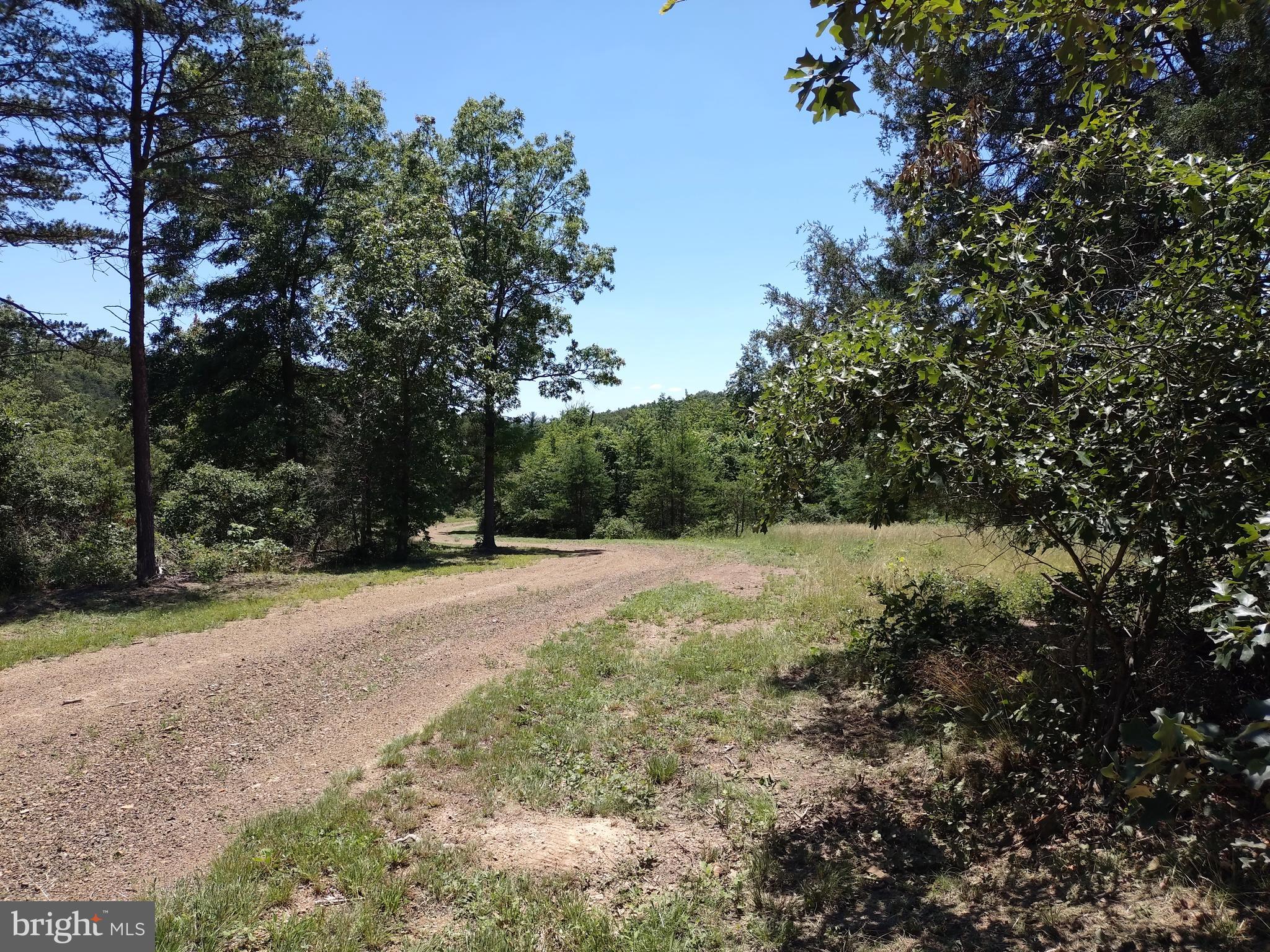 415 Dusty Ln