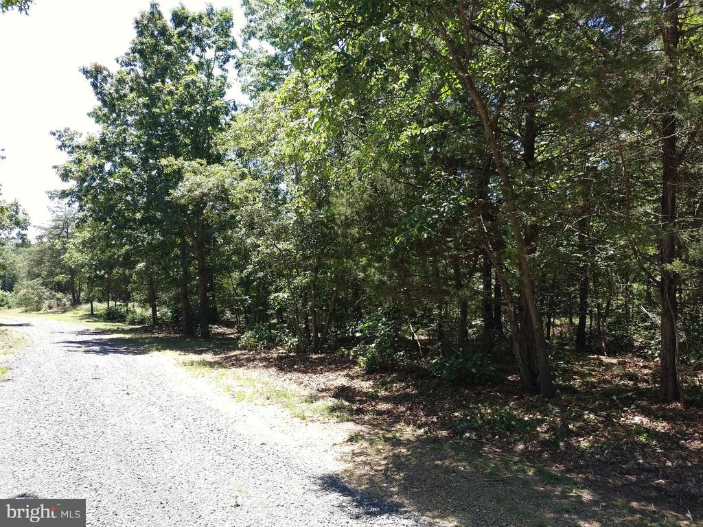 415 Dusty Ln