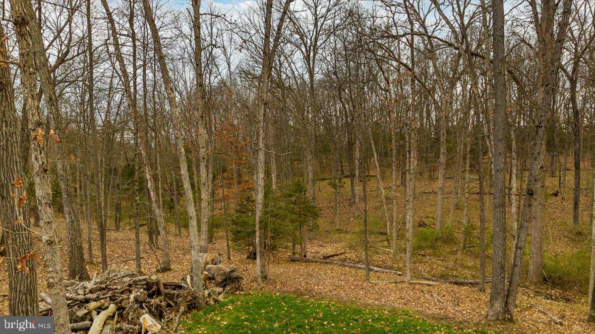 3 Huttle Rd
