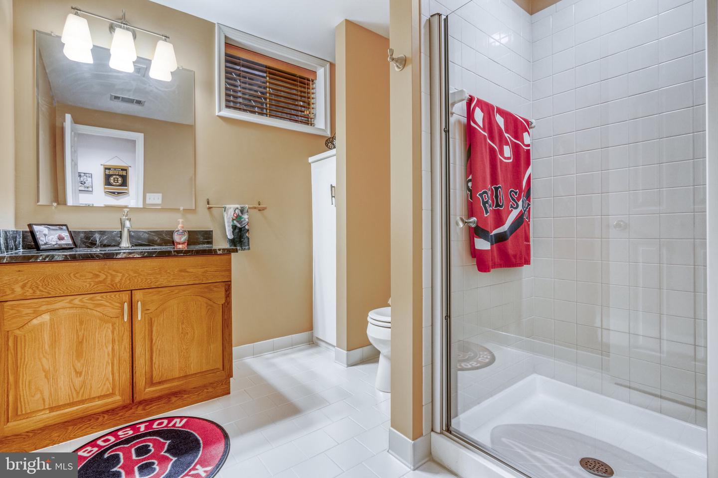 10659 Oakton Ridge Ct