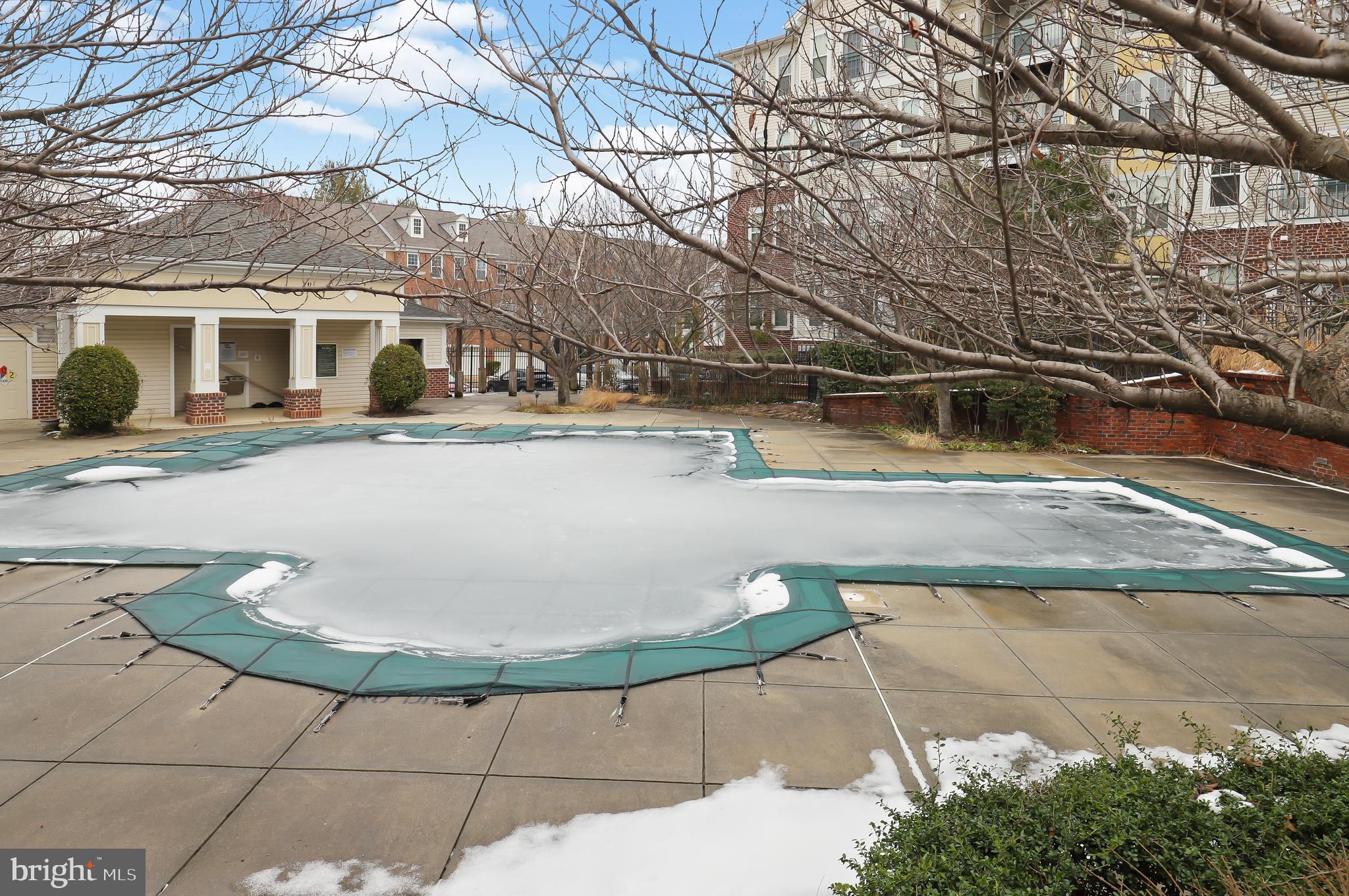 2921 DEER HOLLOW WAY 211