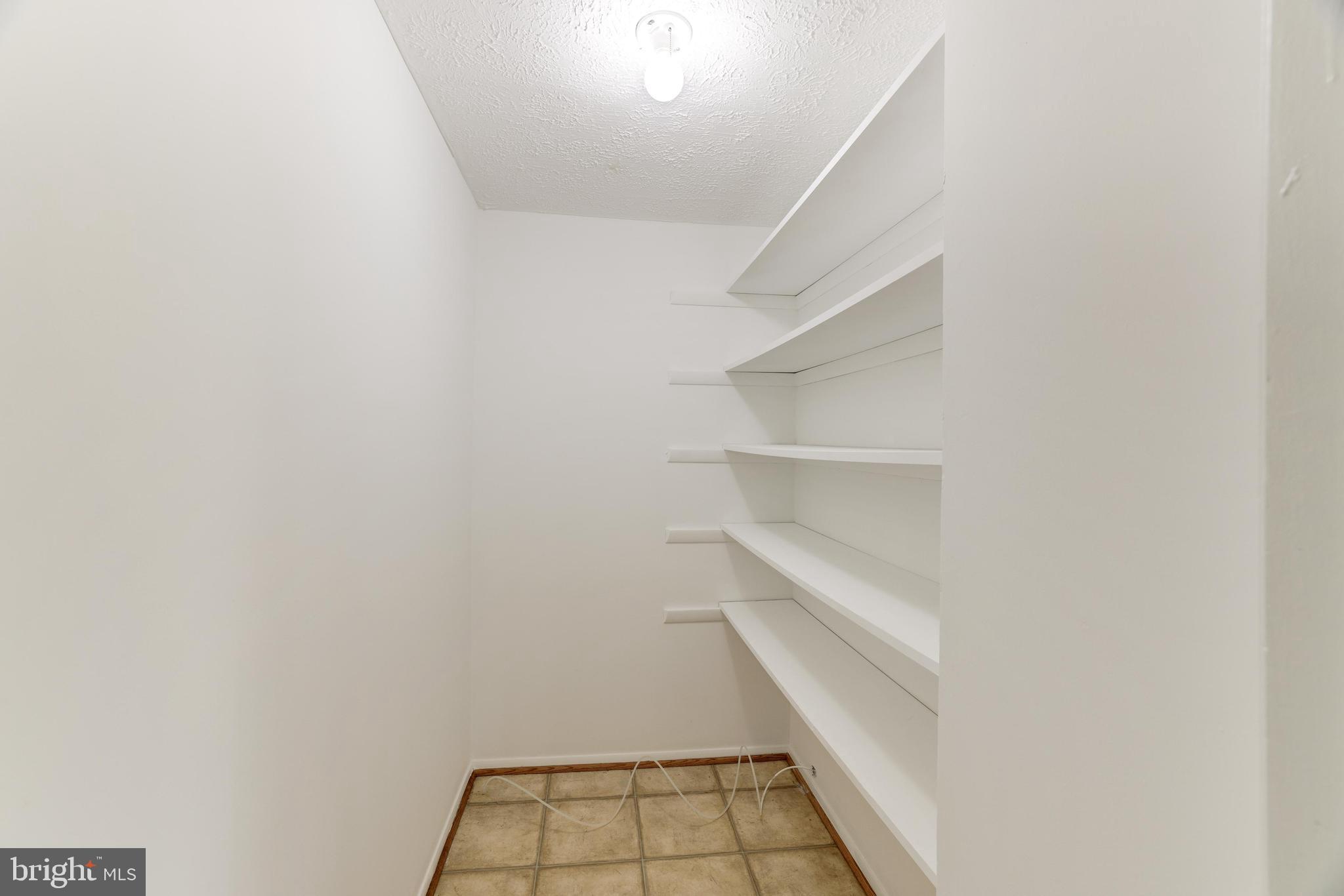 11562 Ivy Bush Ct