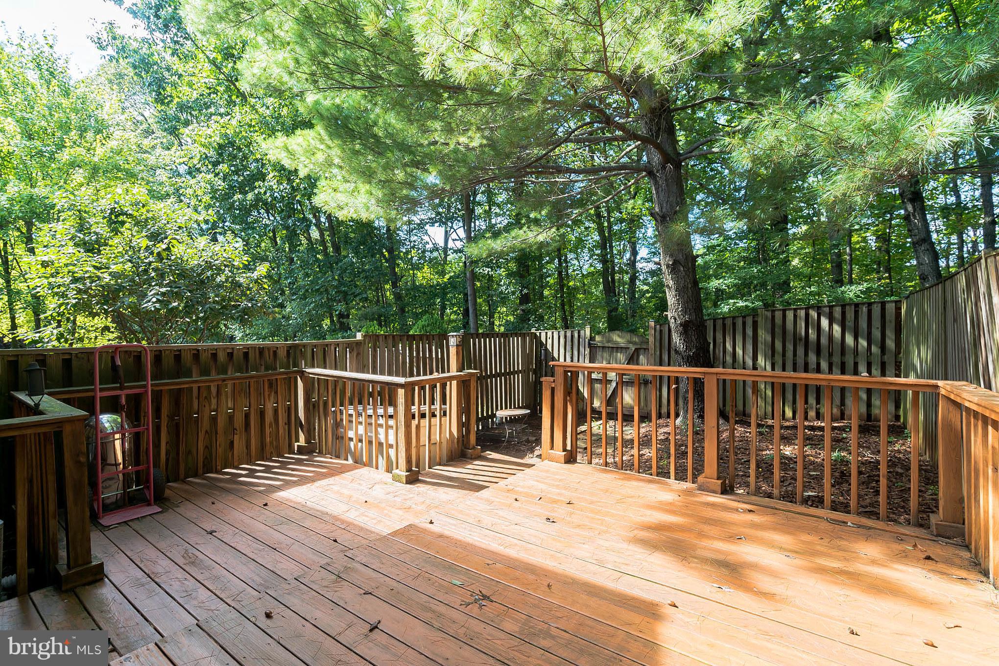 11562 Ivy Bush Ct