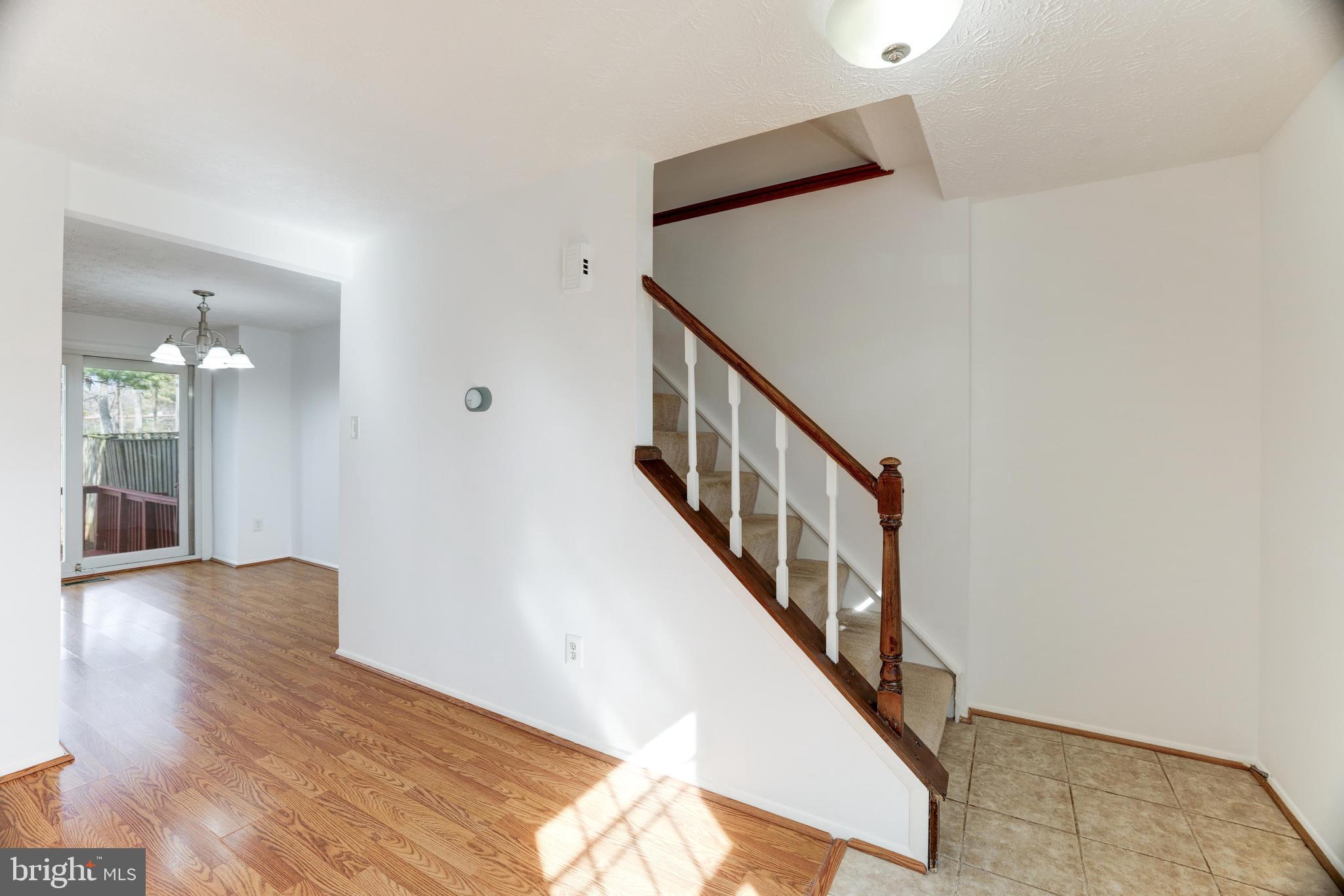 11562 Ivy Bush Ct