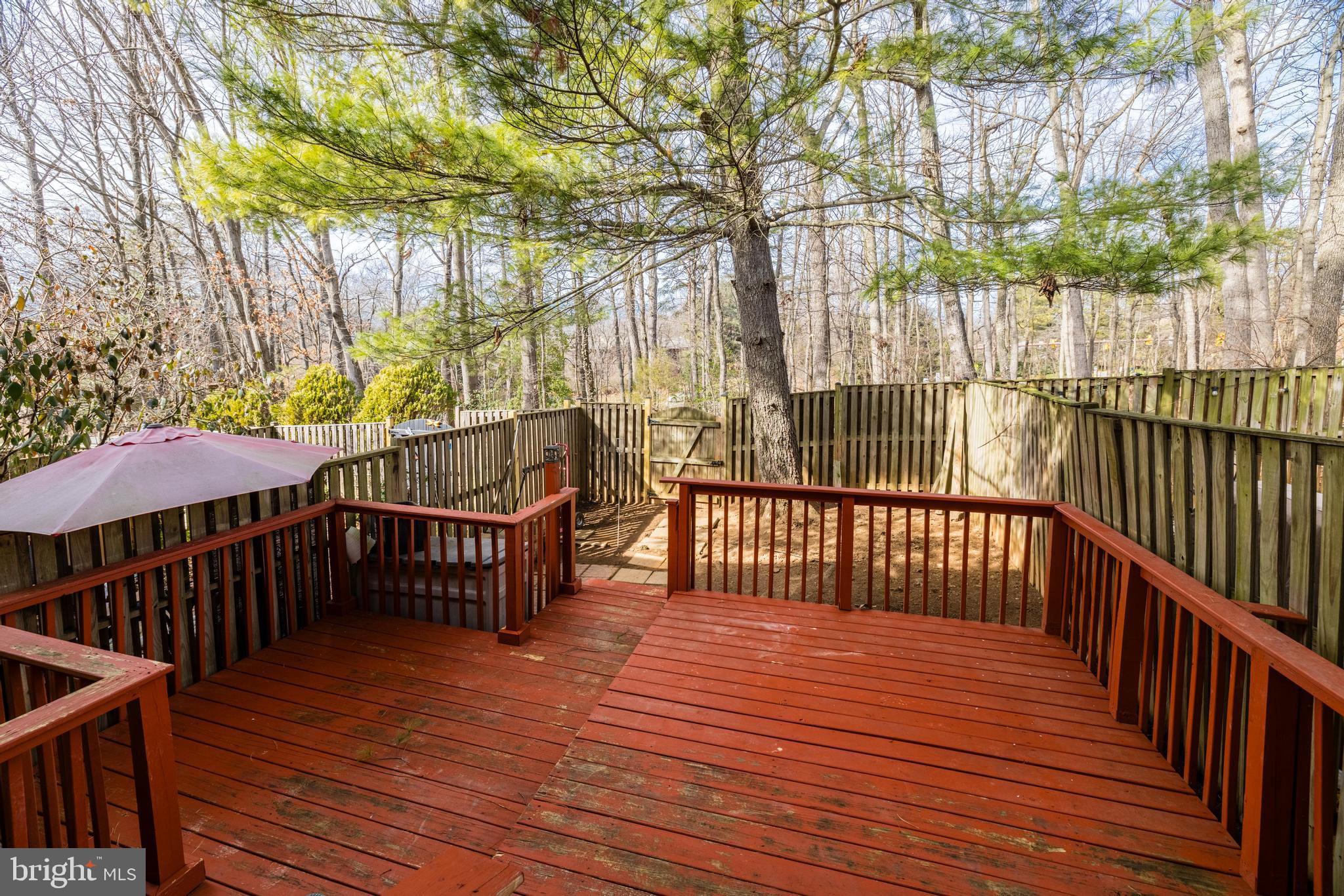 11562 Ivy Bush Ct