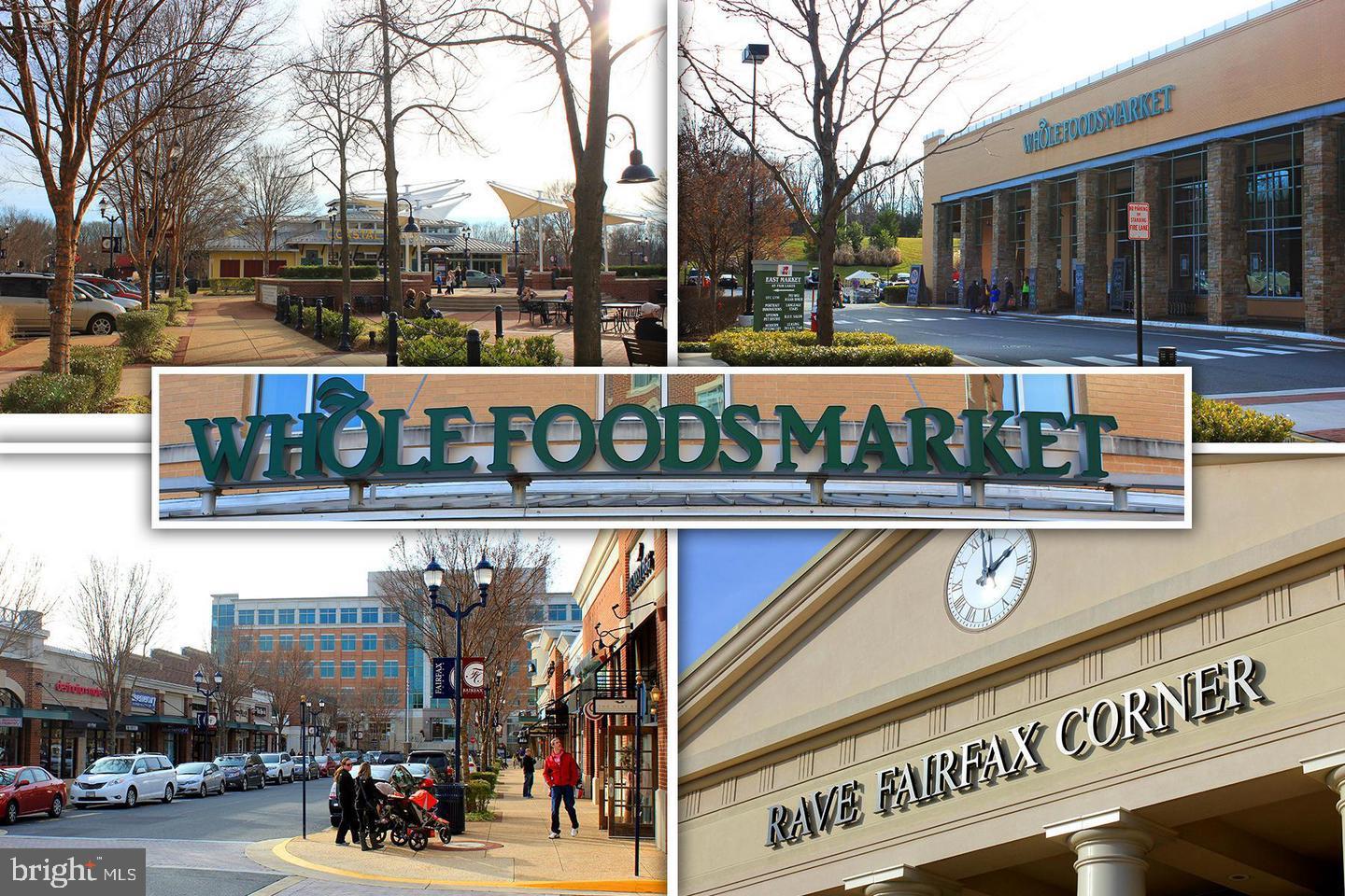 4210 Mozart Brigade Ln #X