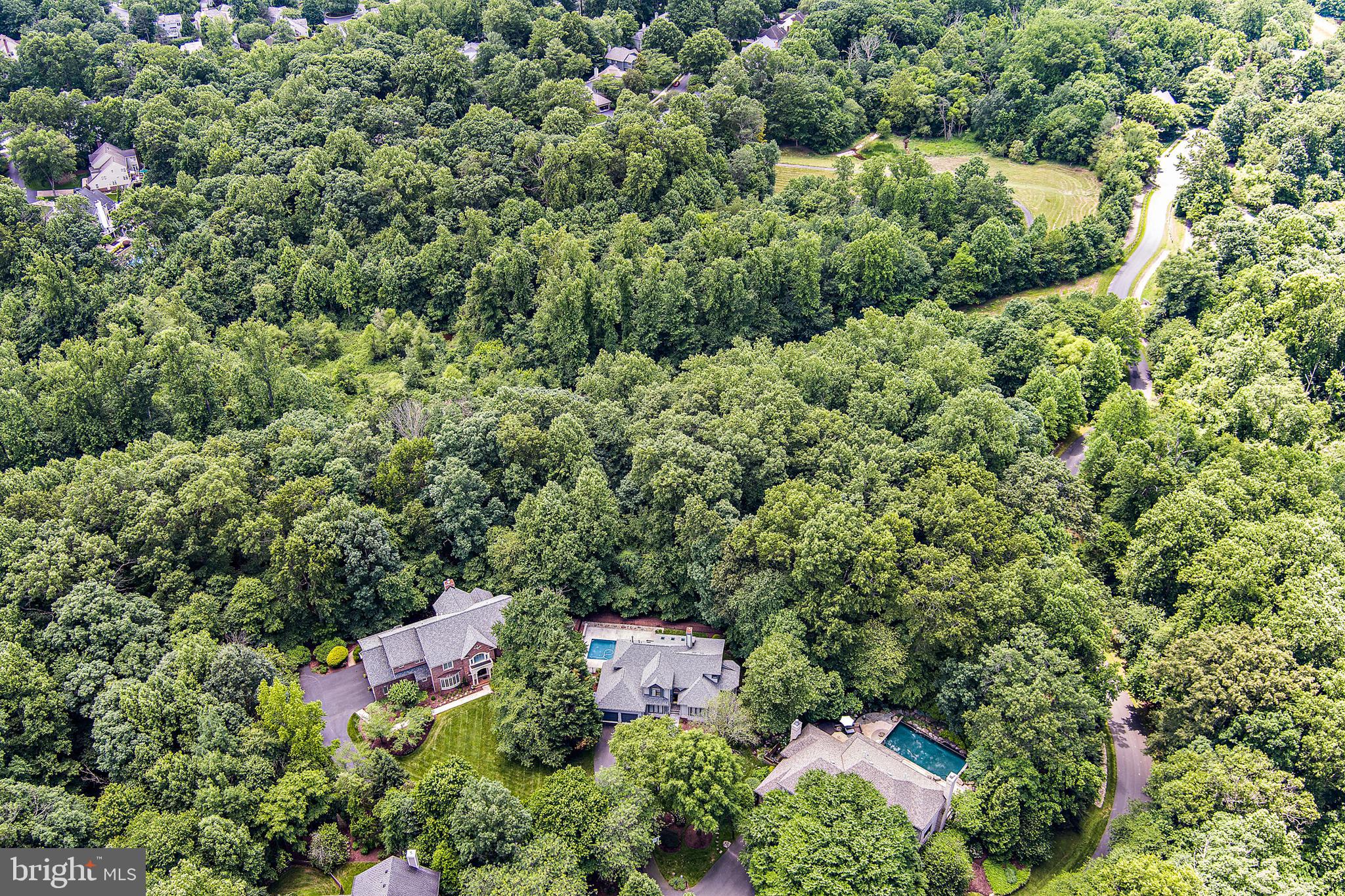 11217 Bright Pond Ln