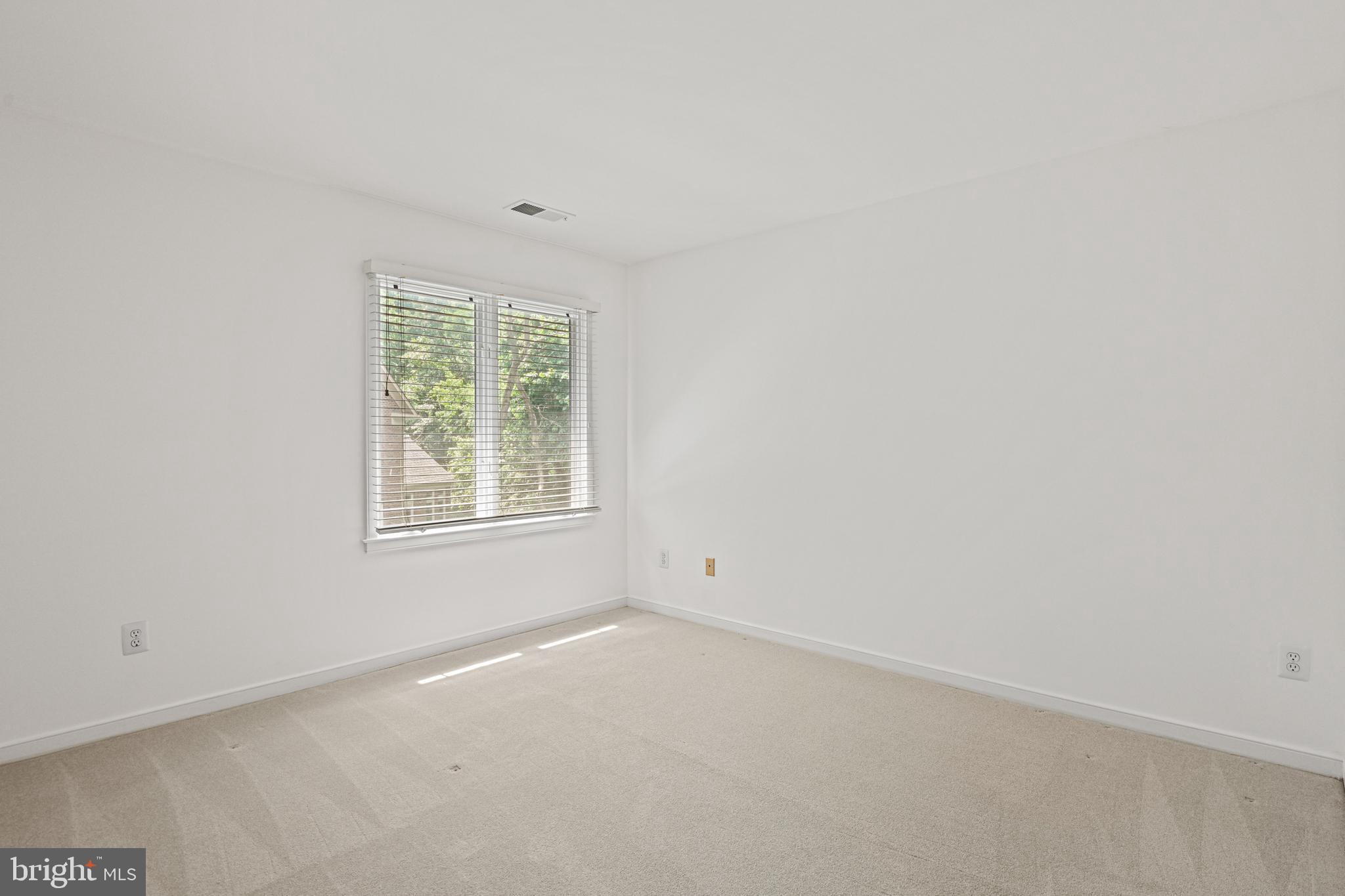 11217 Bright Pond Ln