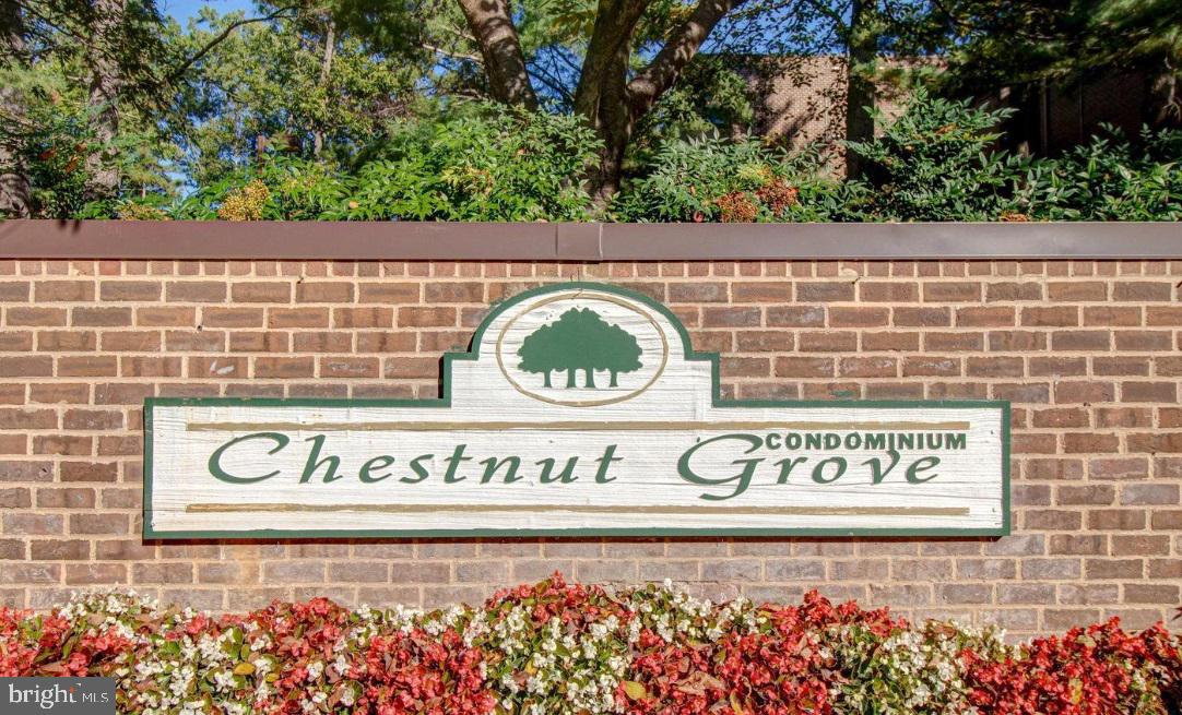 11256 Chestnut Grove Sq #243