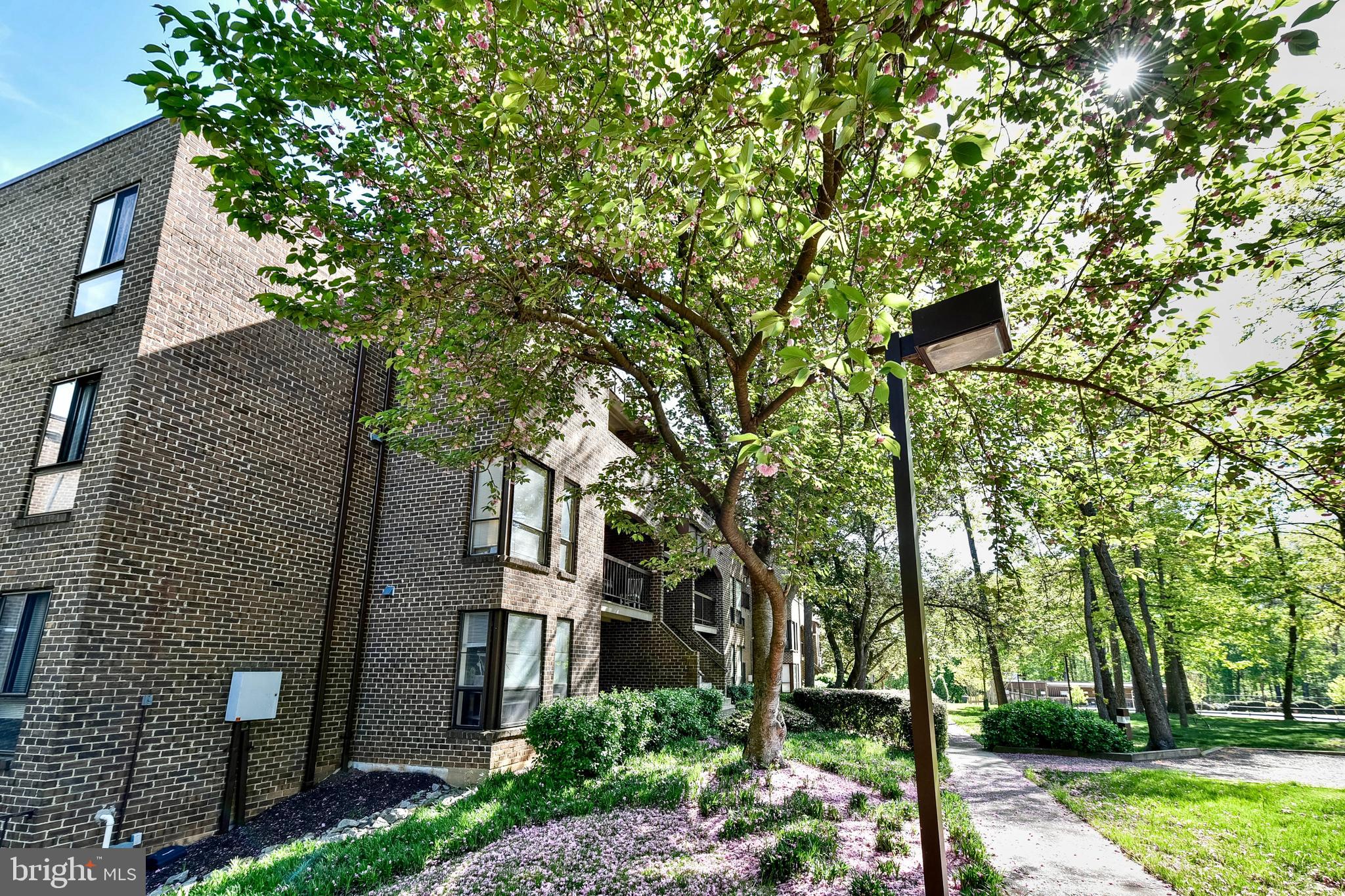 11256 Chestnut Grove Sq #243