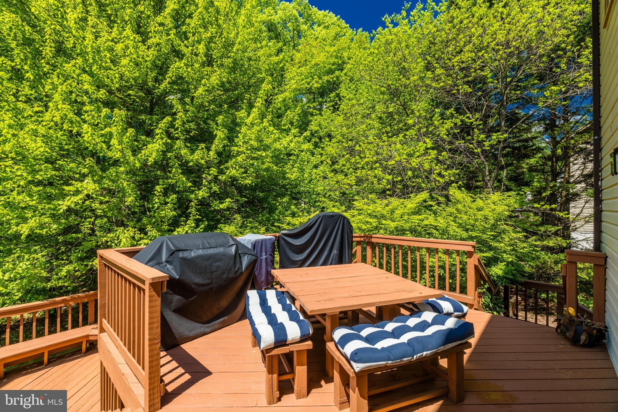 12568 Quincy Adams Ct