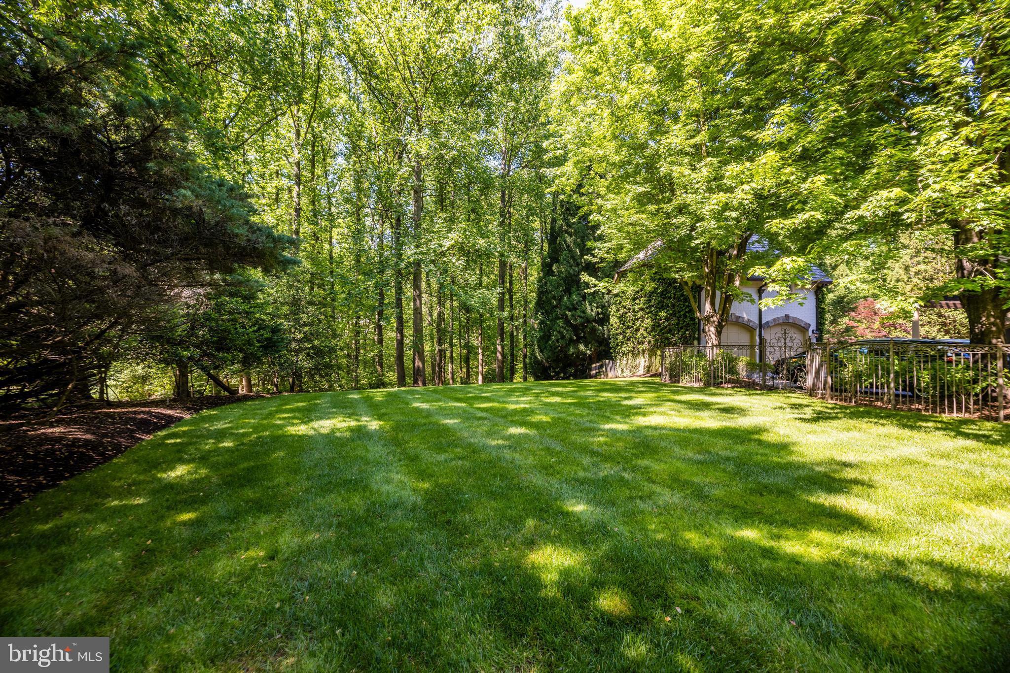 10005 Windy Hollow Rd