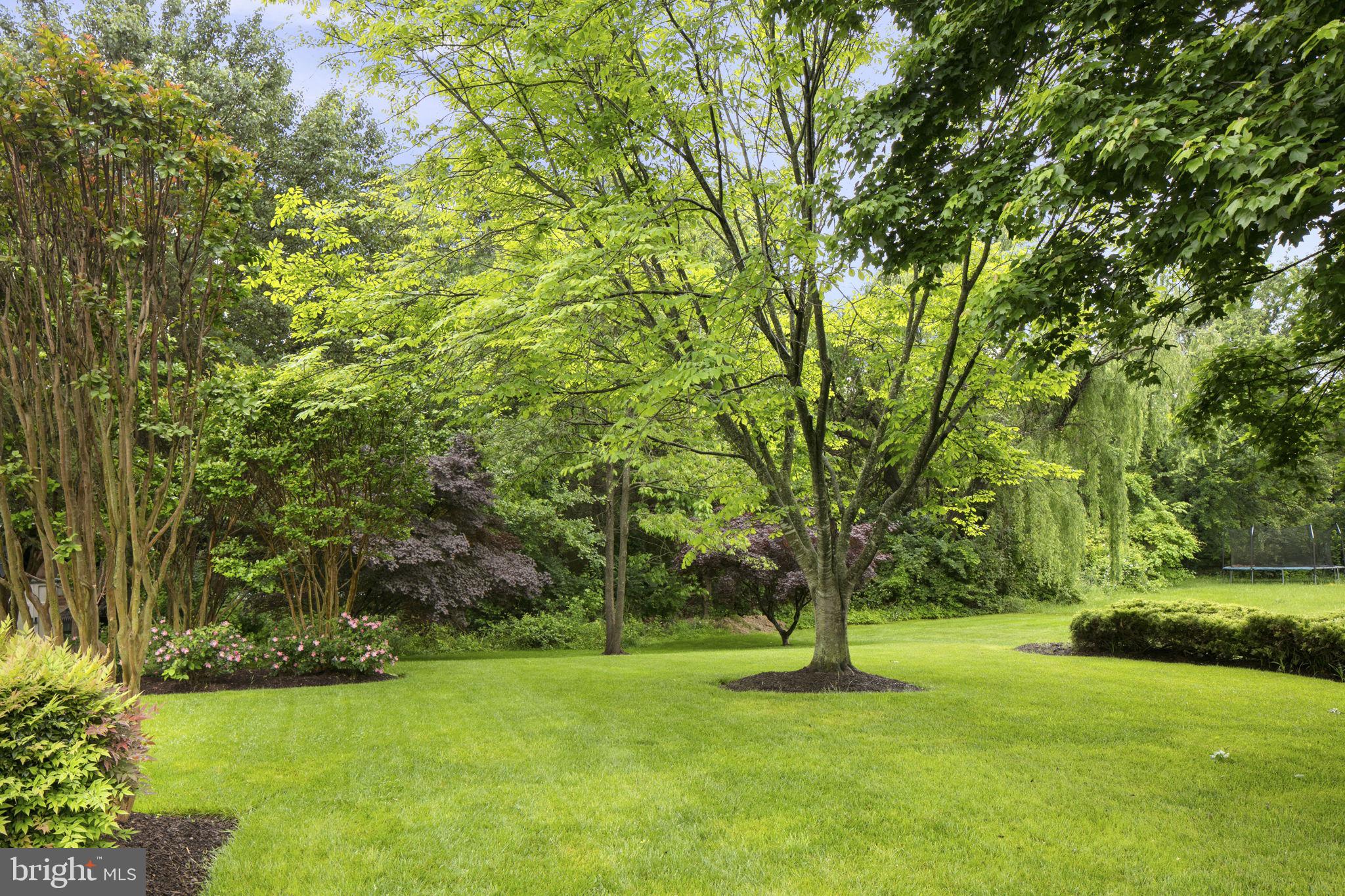 12717 Hitchcock Ct