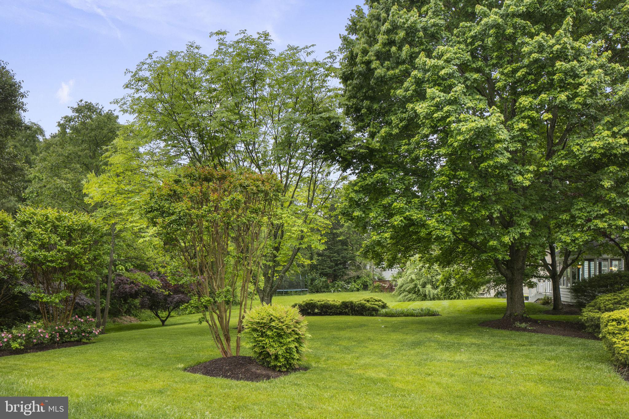 12717 Hitchcock Ct