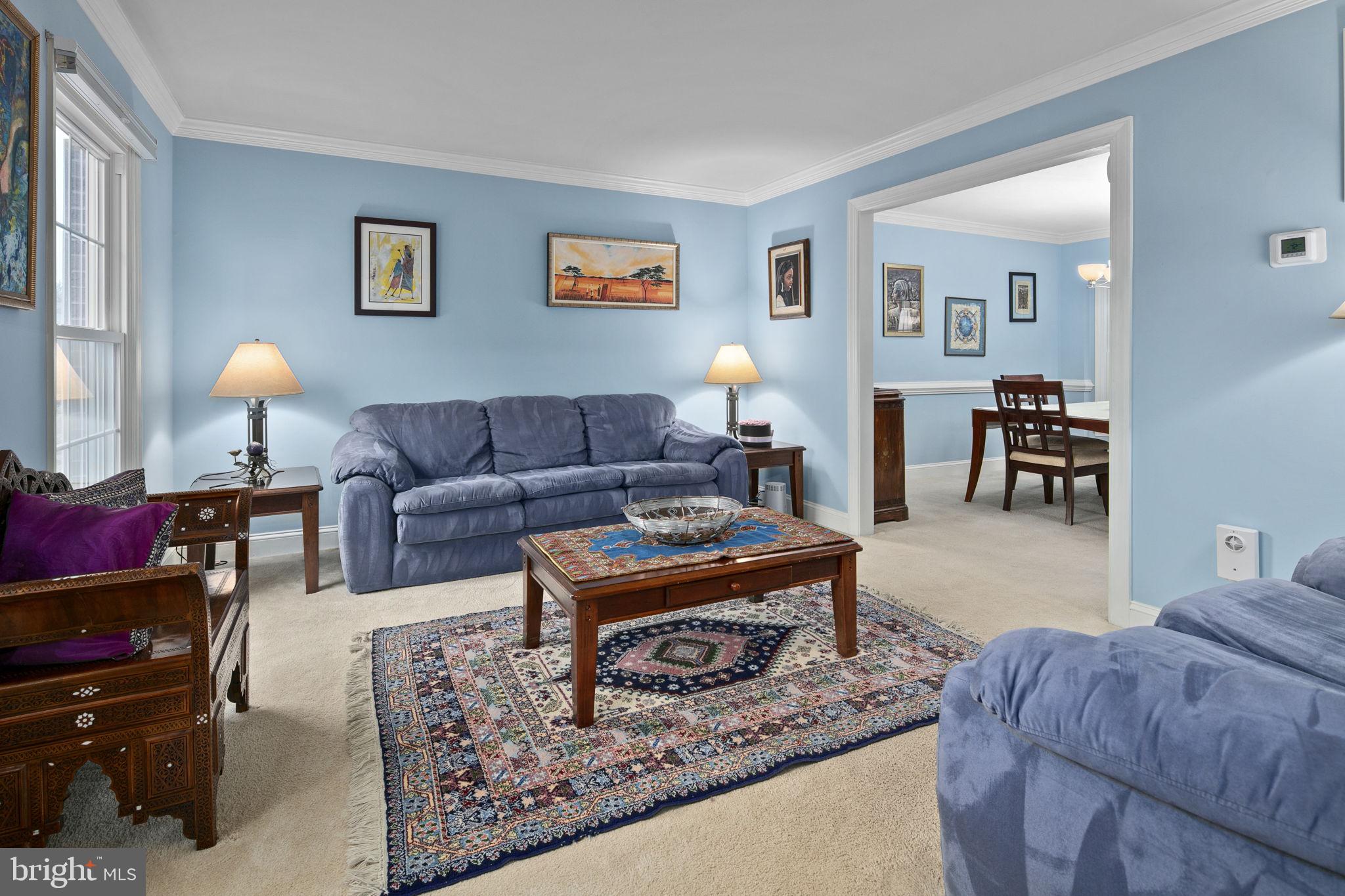 12717 Hitchcock Ct