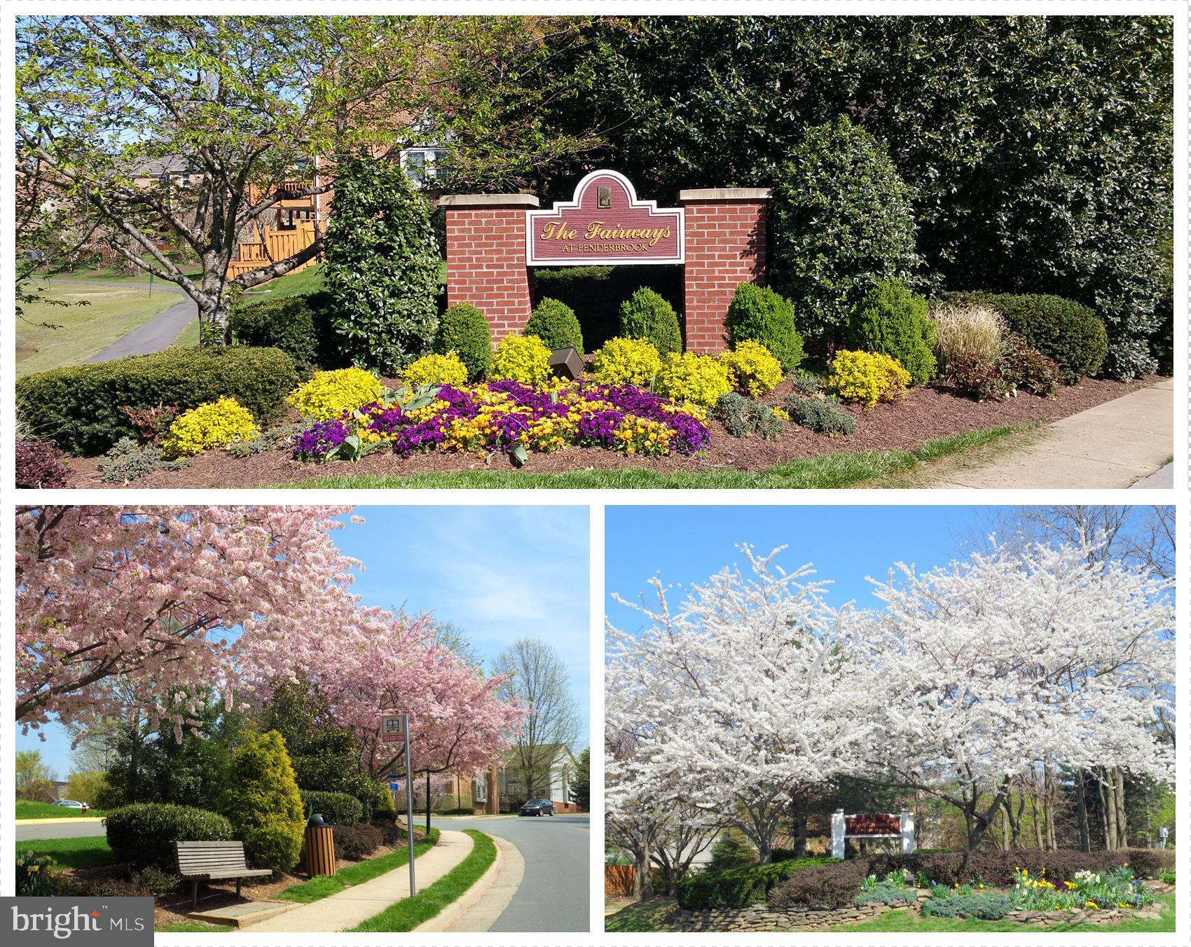 3915 GREEN LOOK COURT