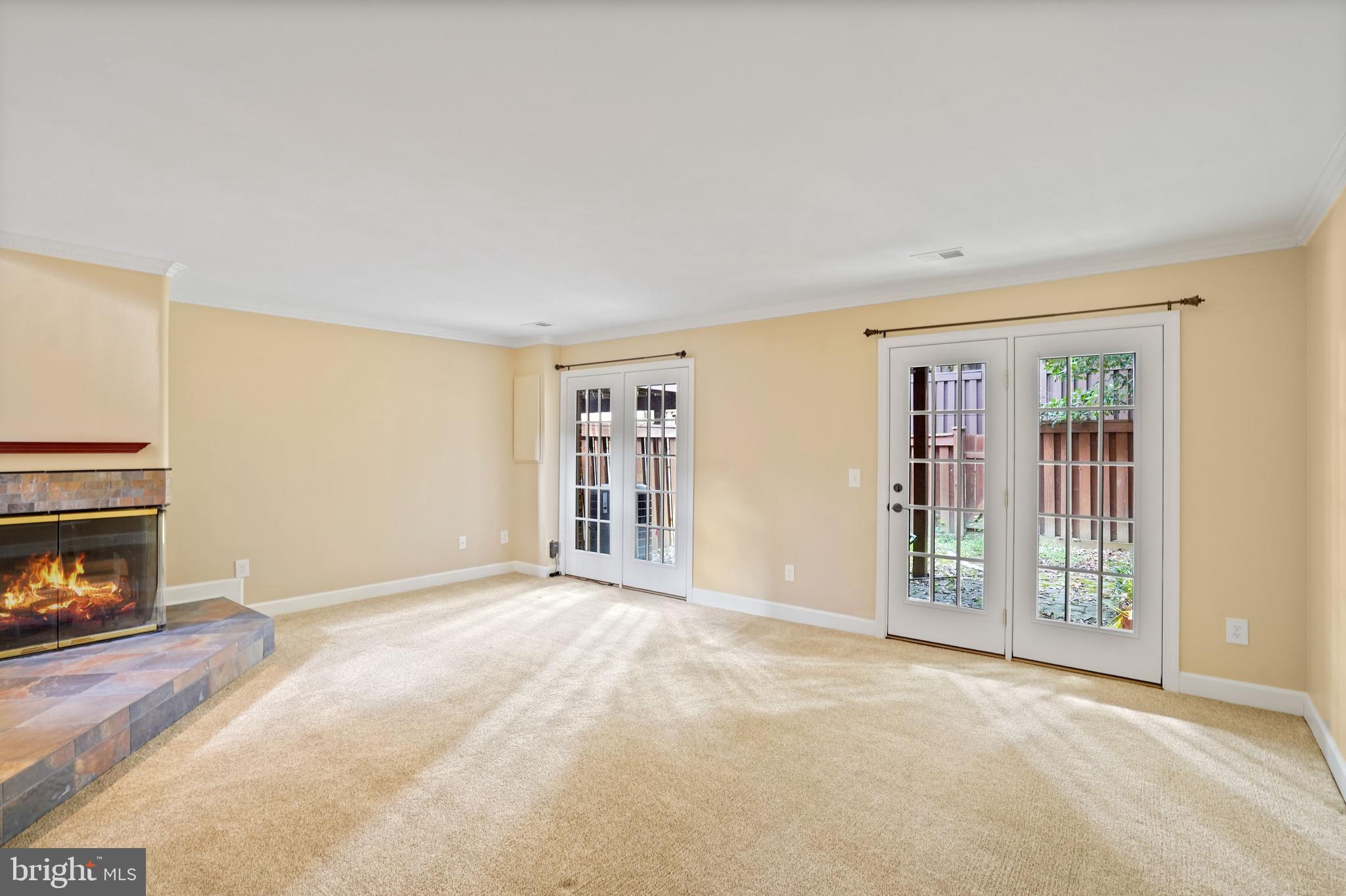 3915 GREEN LOOK COURT