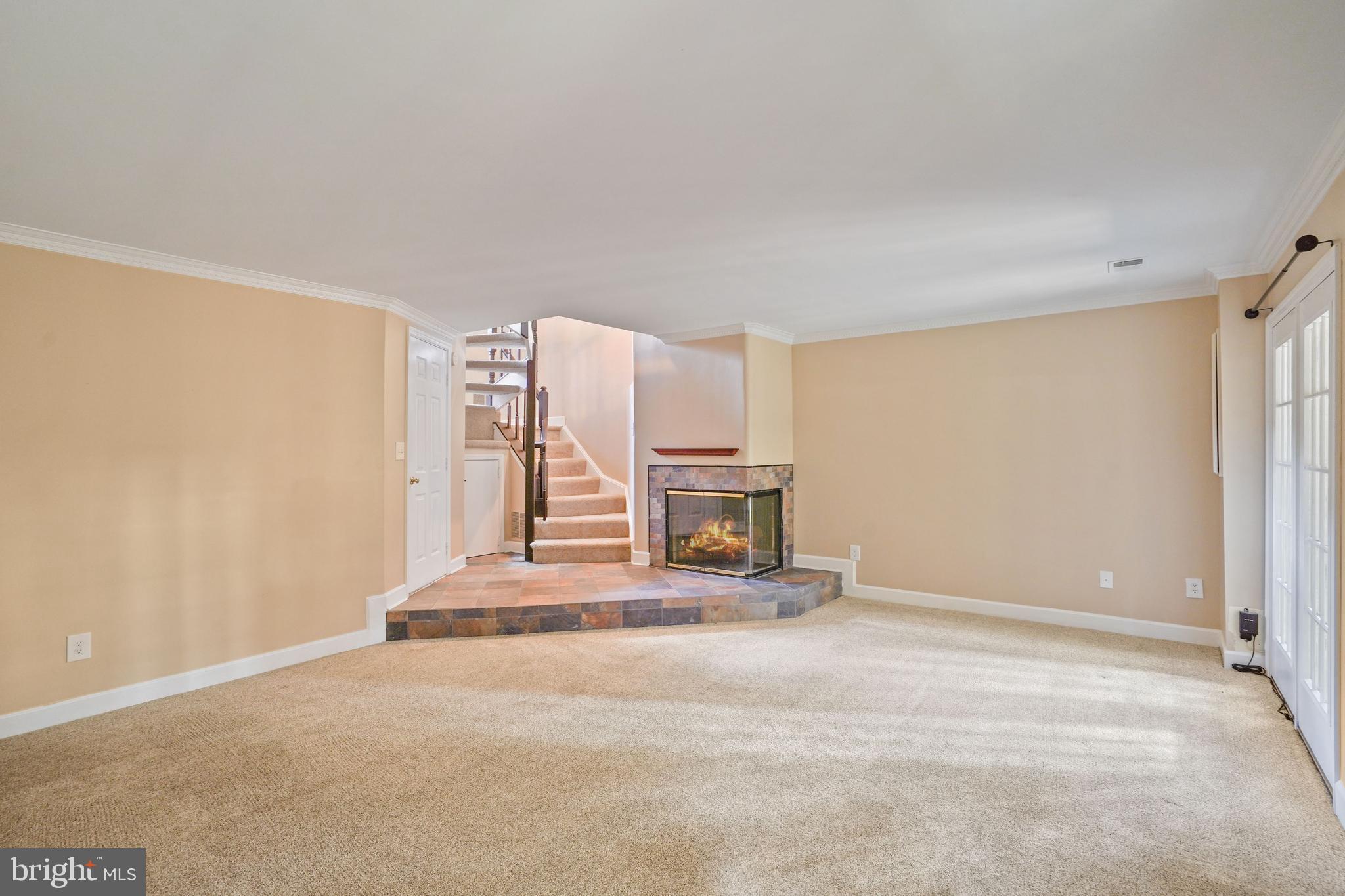 3915 GREEN LOOK COURT