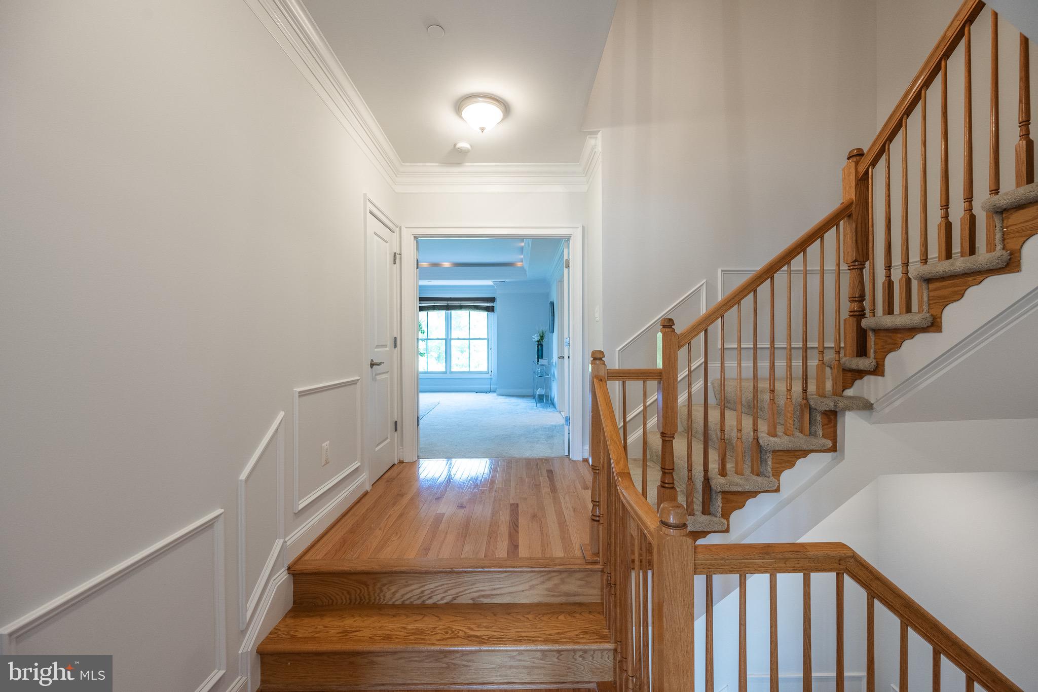 7004 Eastern Red Cedar Ln