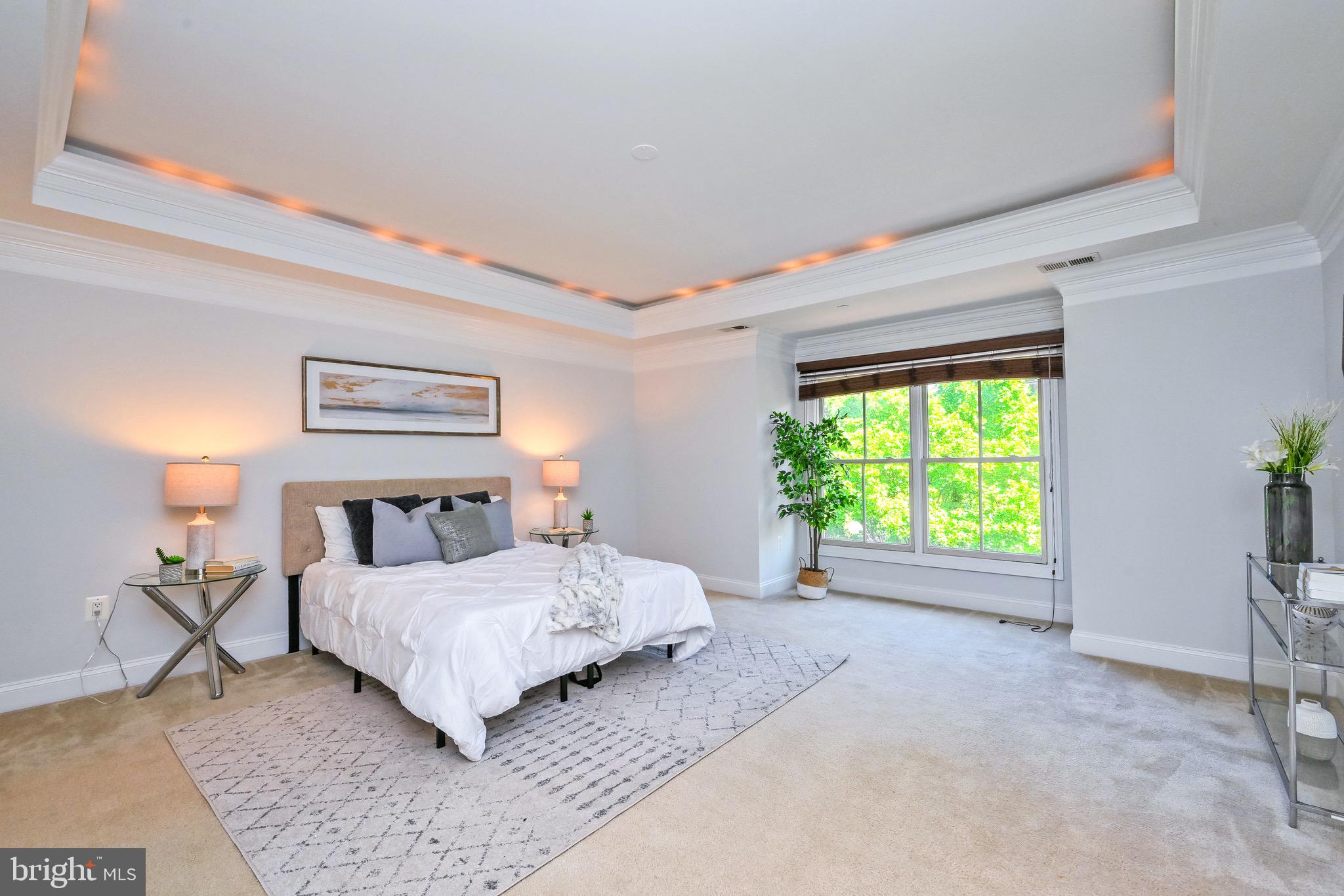 7004 Eastern Red Cedar Ln