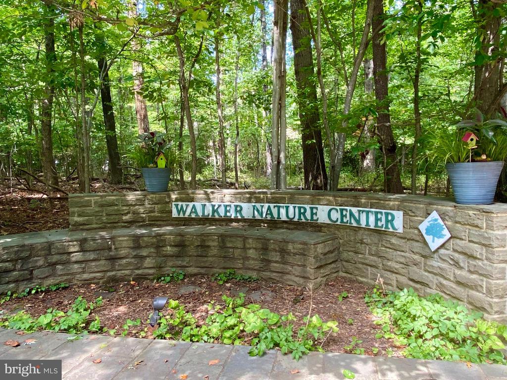 11560 WOODHOLLOW COURT