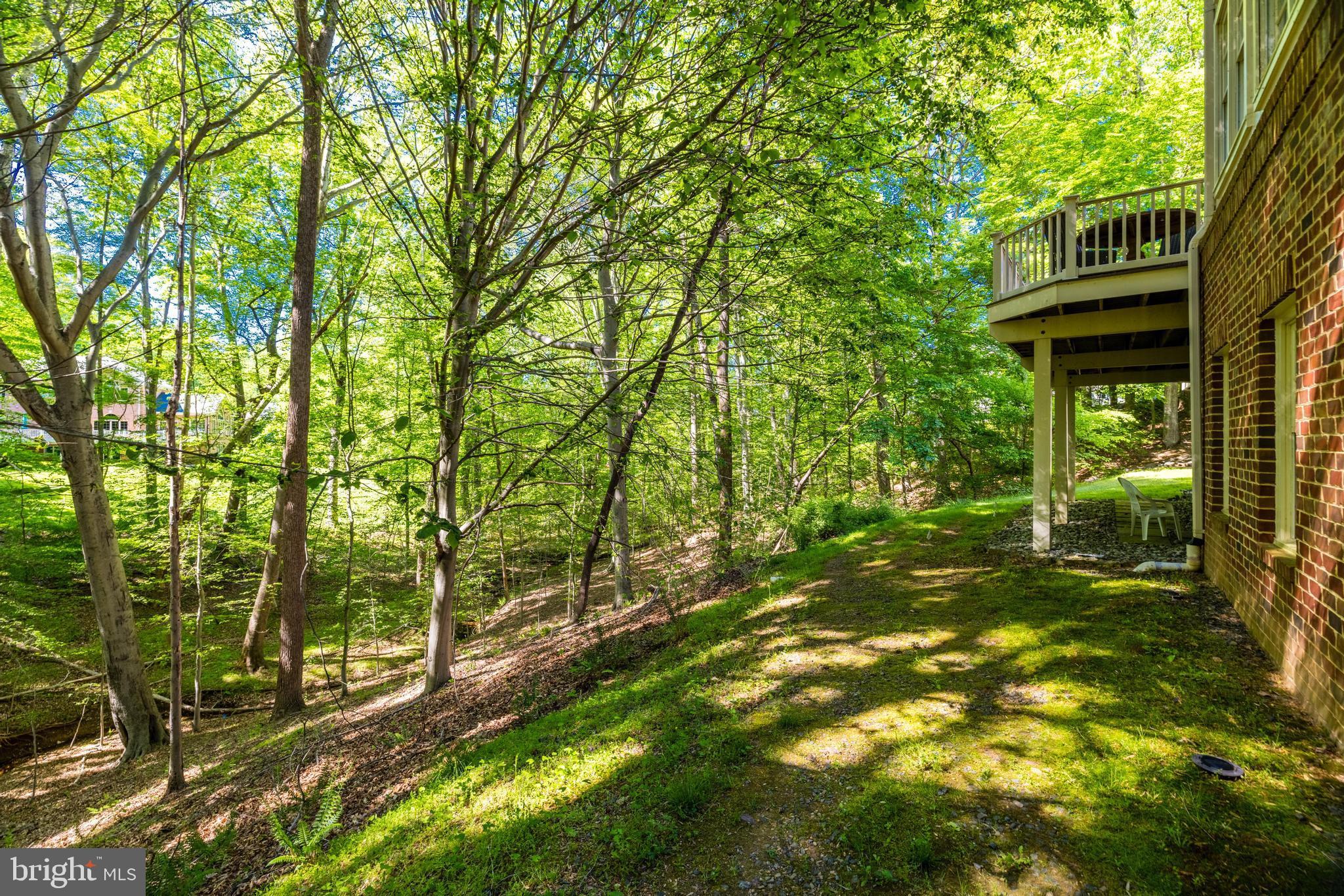 10025 Windy Hollow Rd