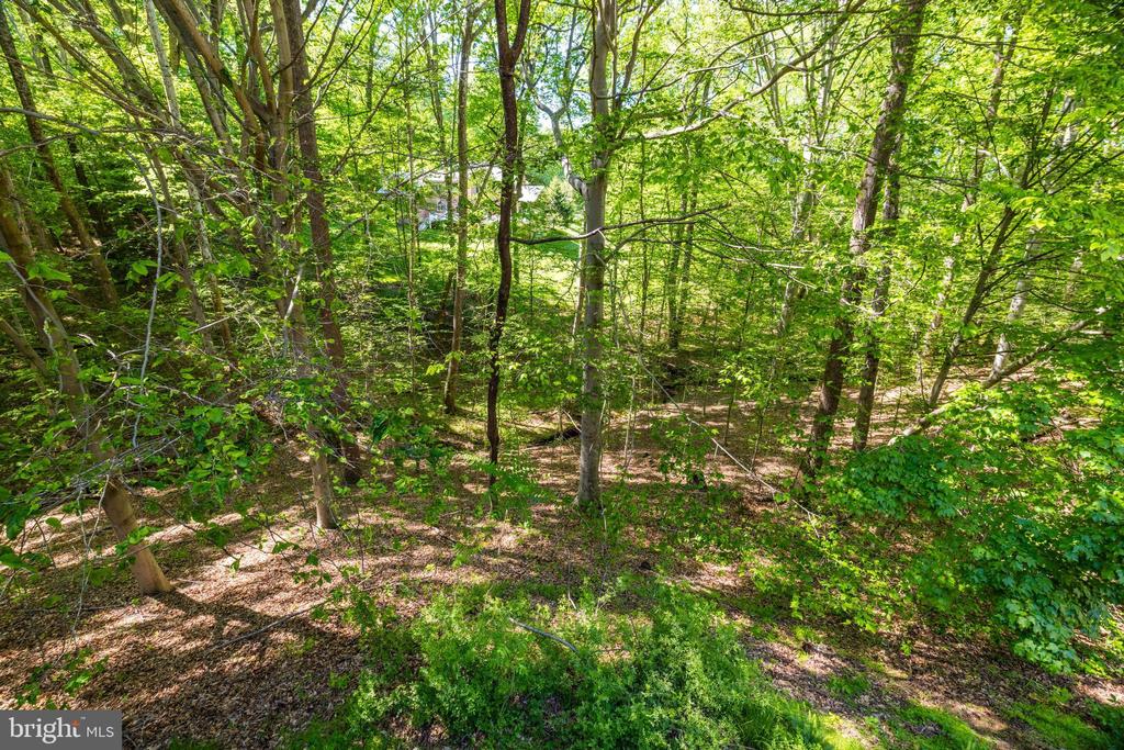 10025 Windy Hollow Rd