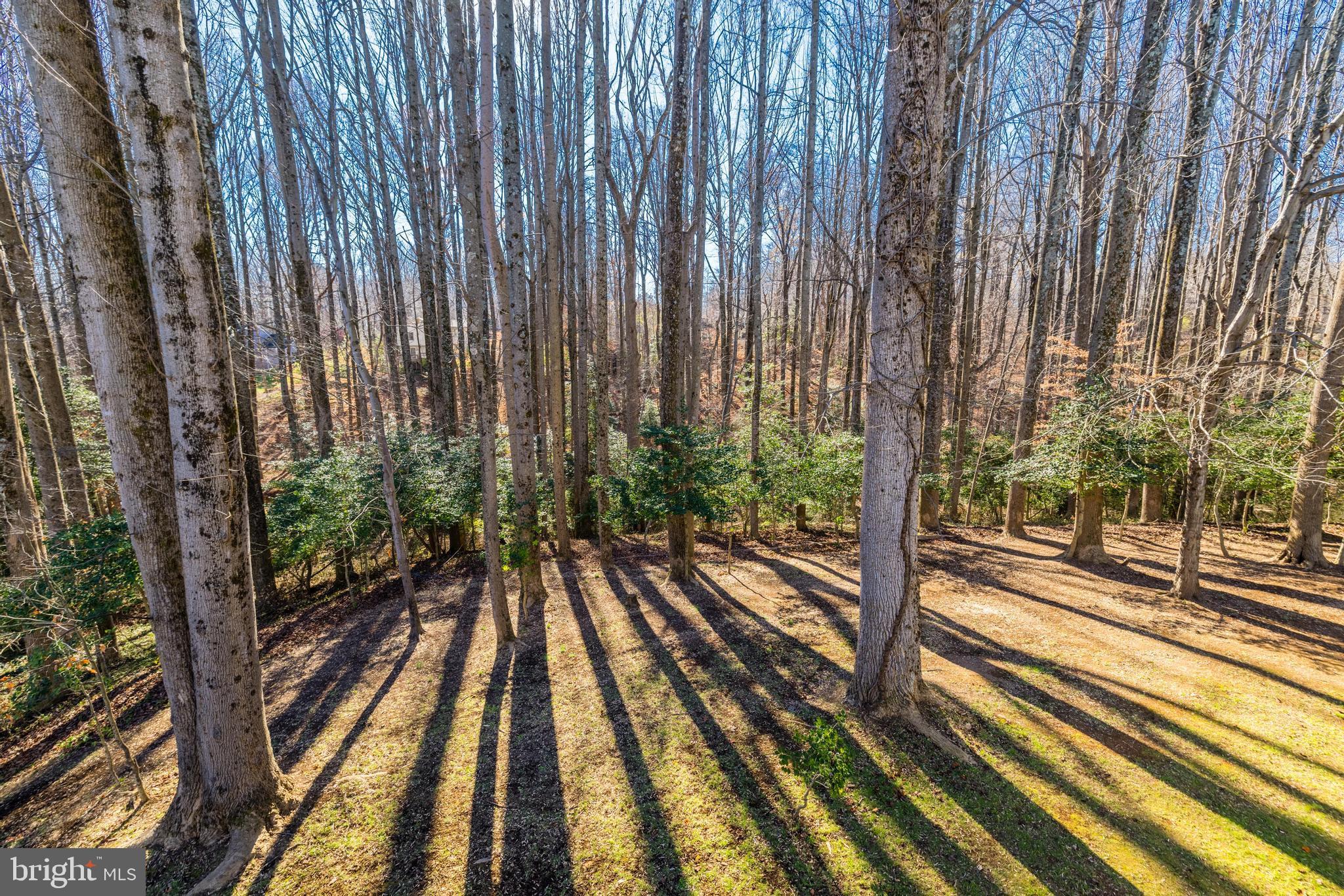 4810 BRADDOCK KNOLL WAY