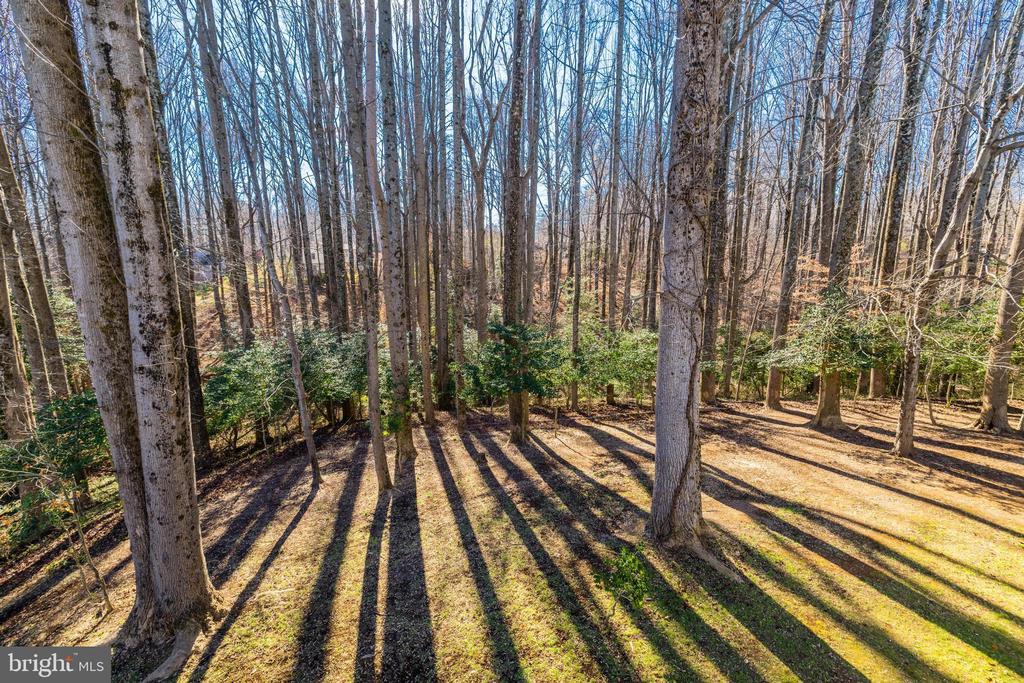 4810 BRADDOCK KNOLL WAY
